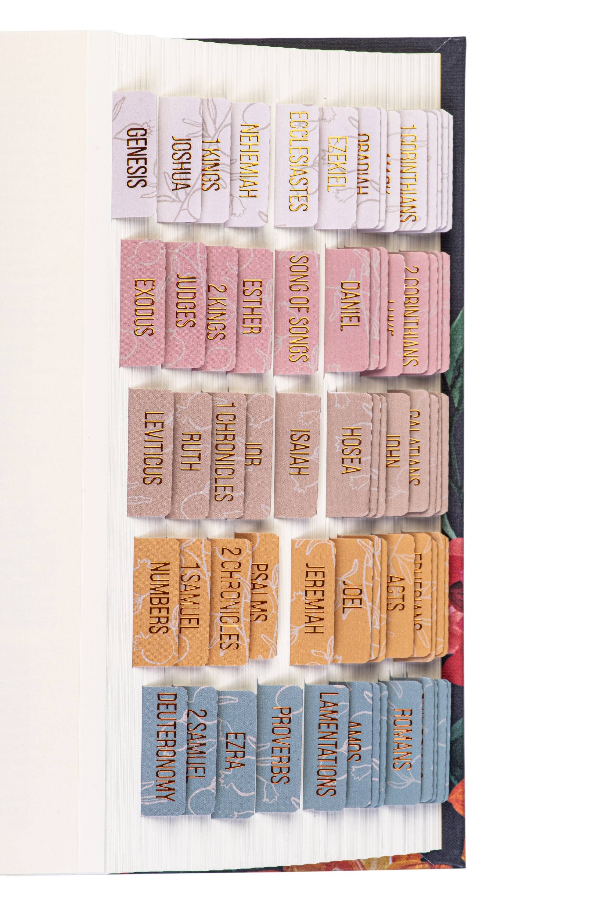Bible Tabs - Honeydew