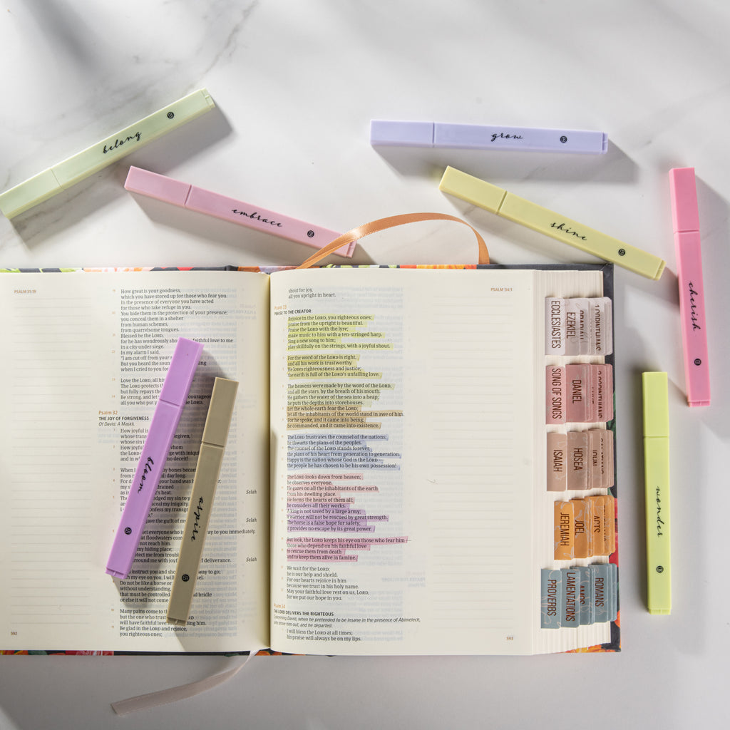 DiverseBee Soft Chisel Highlighters