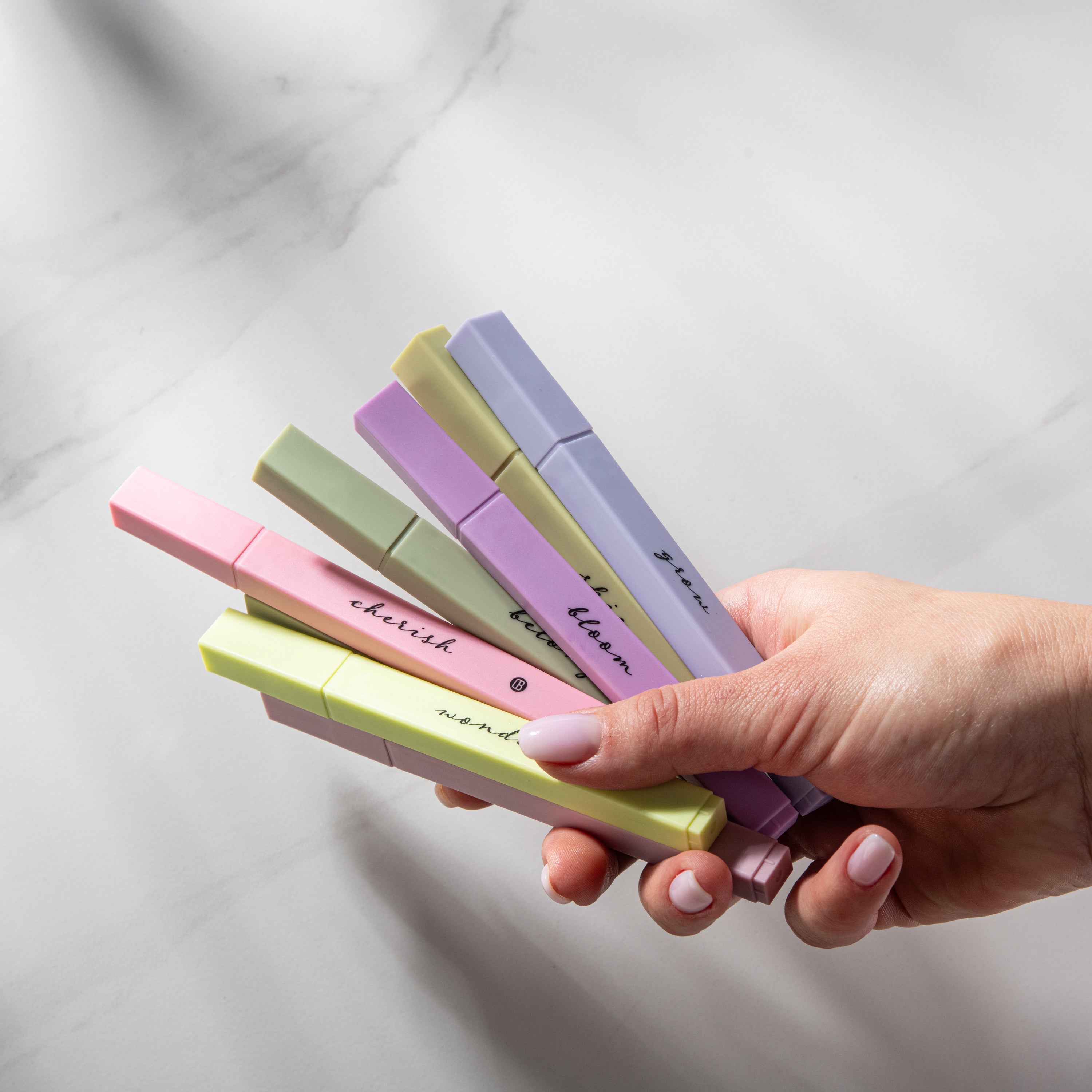 DiverseBee Bible Highlighters