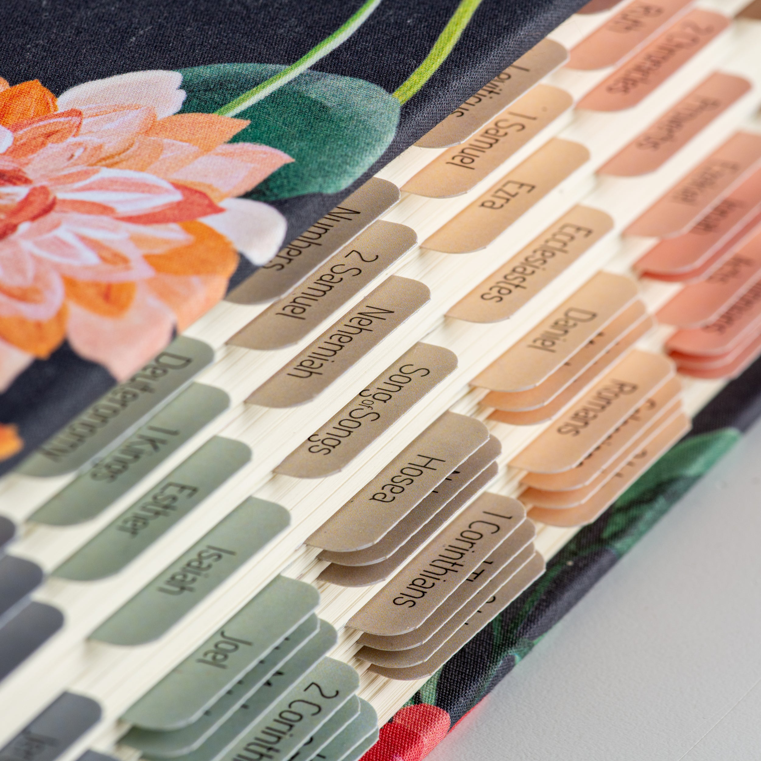 Bible Tabs - Macarons Theme