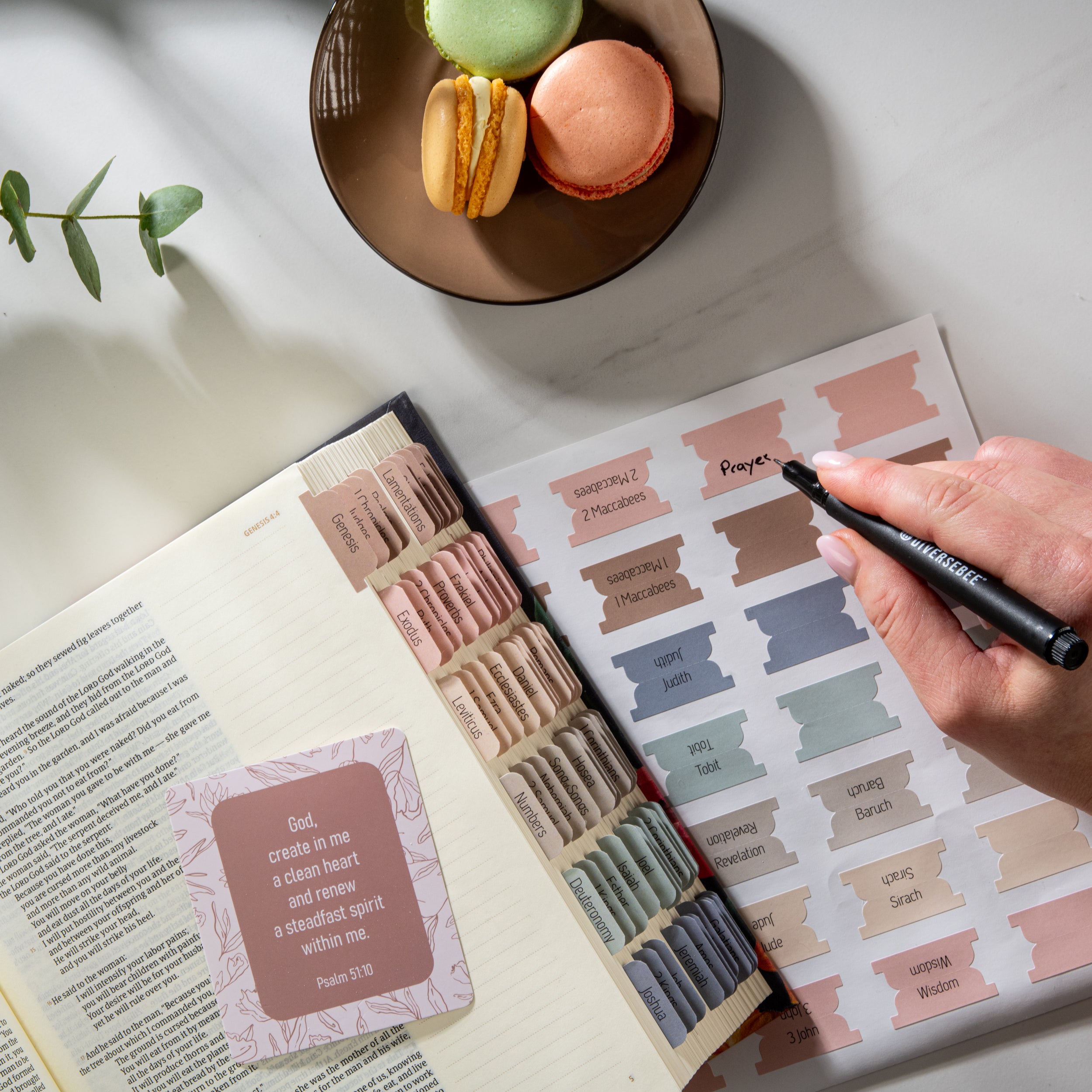 Bible Tabs - Macarons Theme