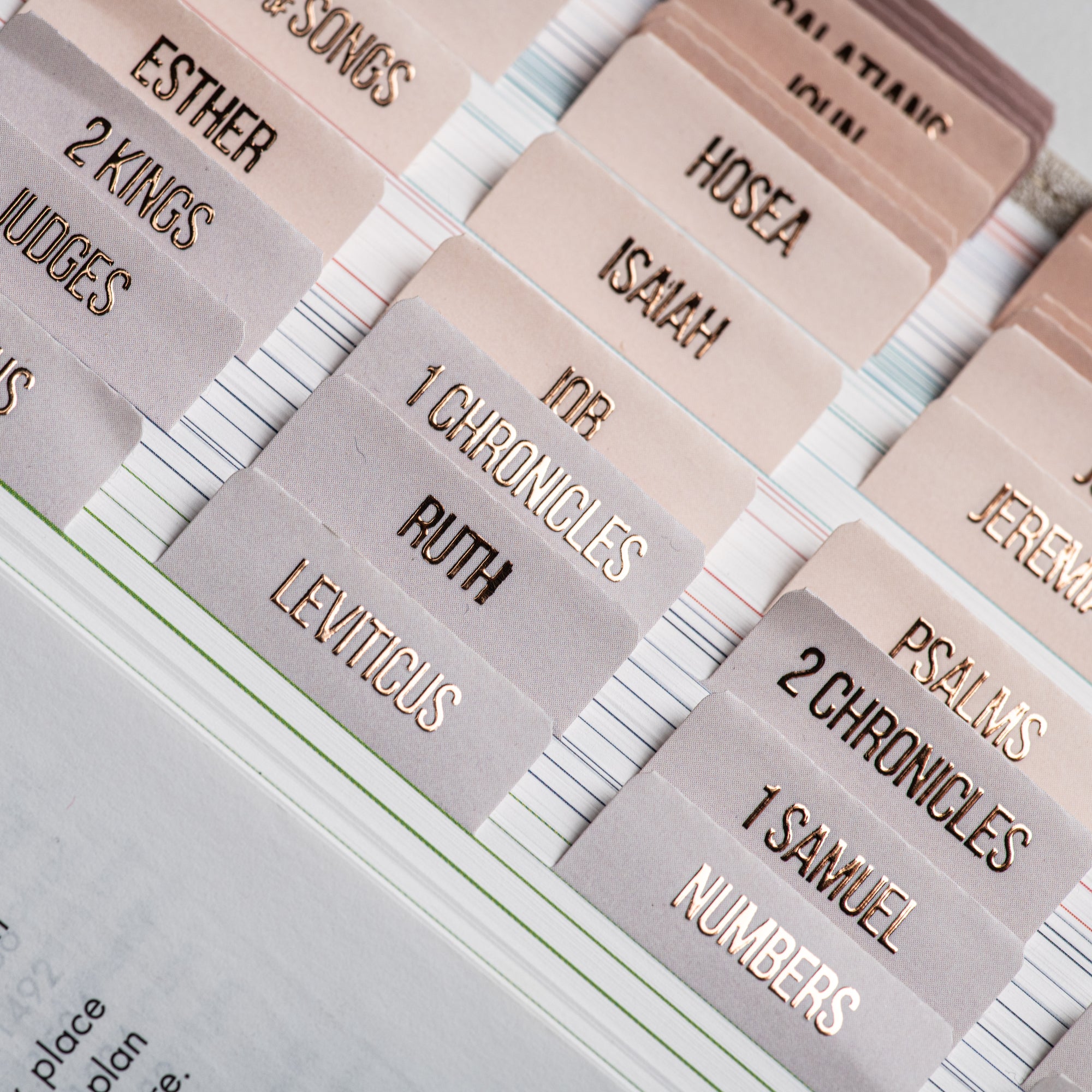 DiverseBee Gold Foil Bible Tabs - Pearl