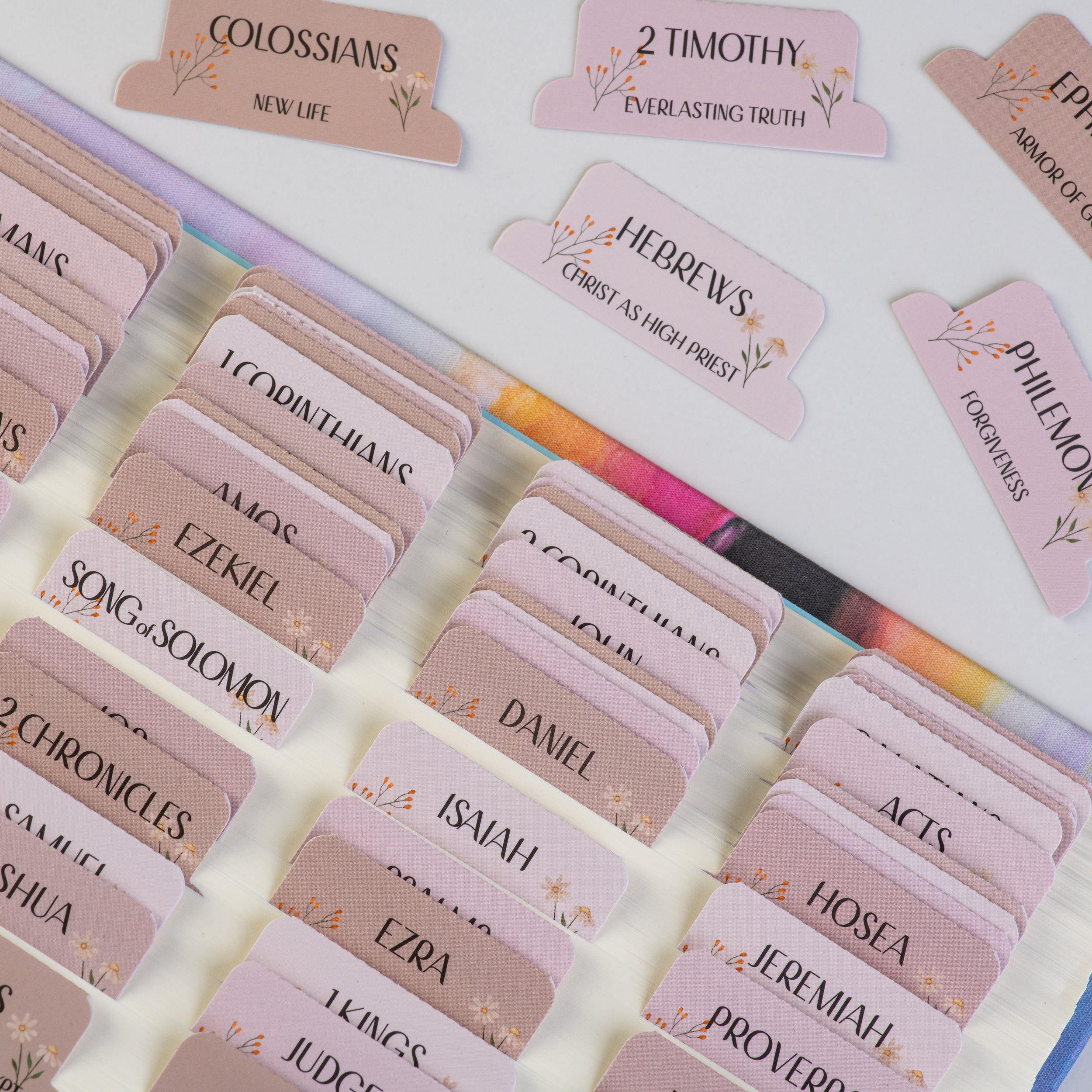 Bible Tabs - Canon Theme