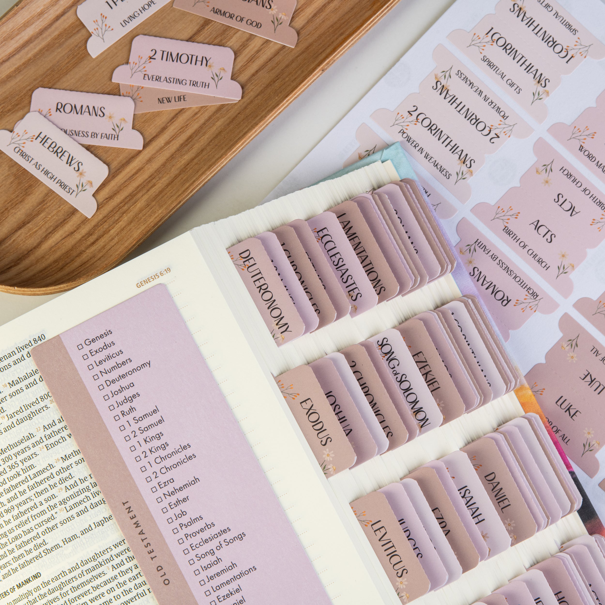 Bible Tabs - Canon Theme