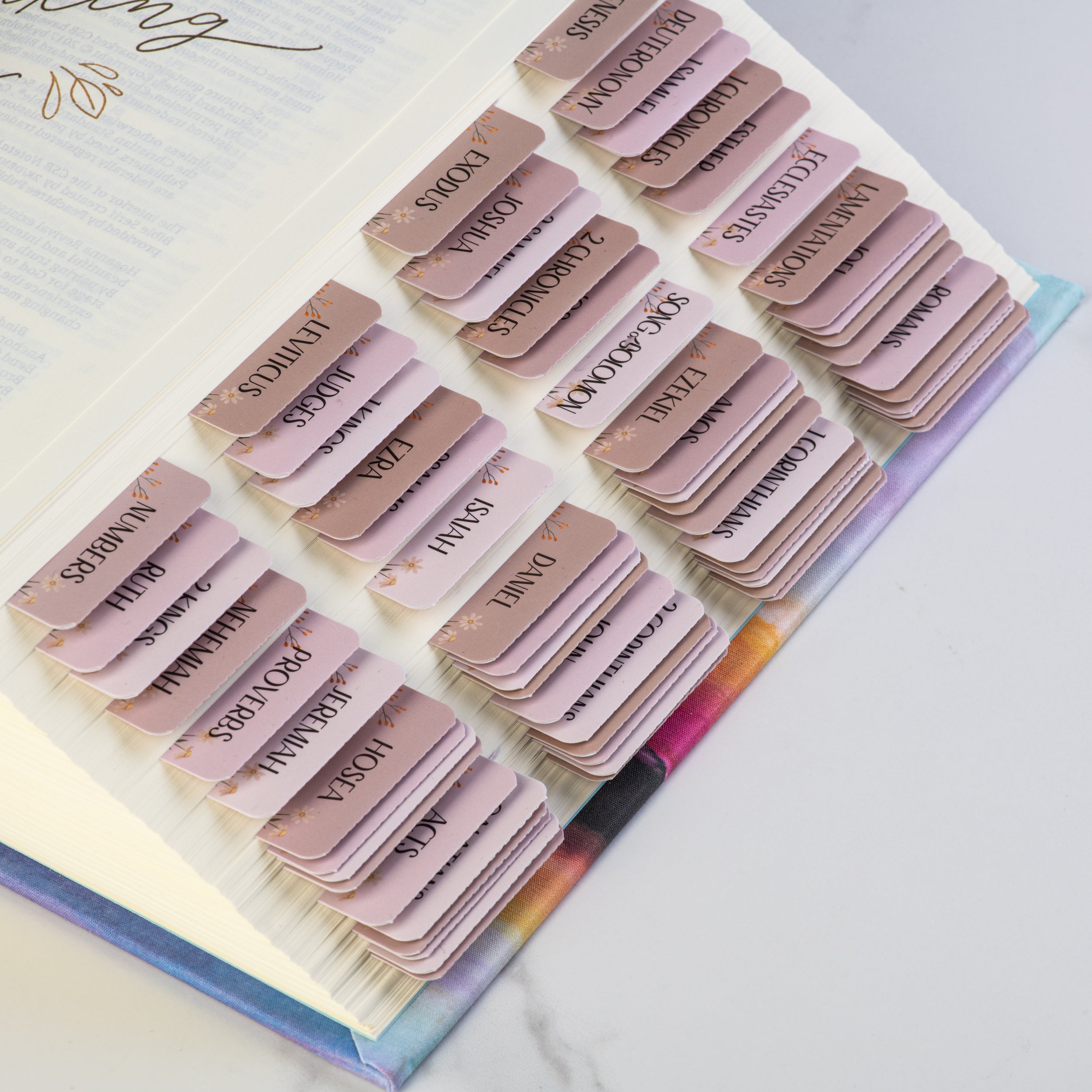 Bible Tabs - Canon Theme