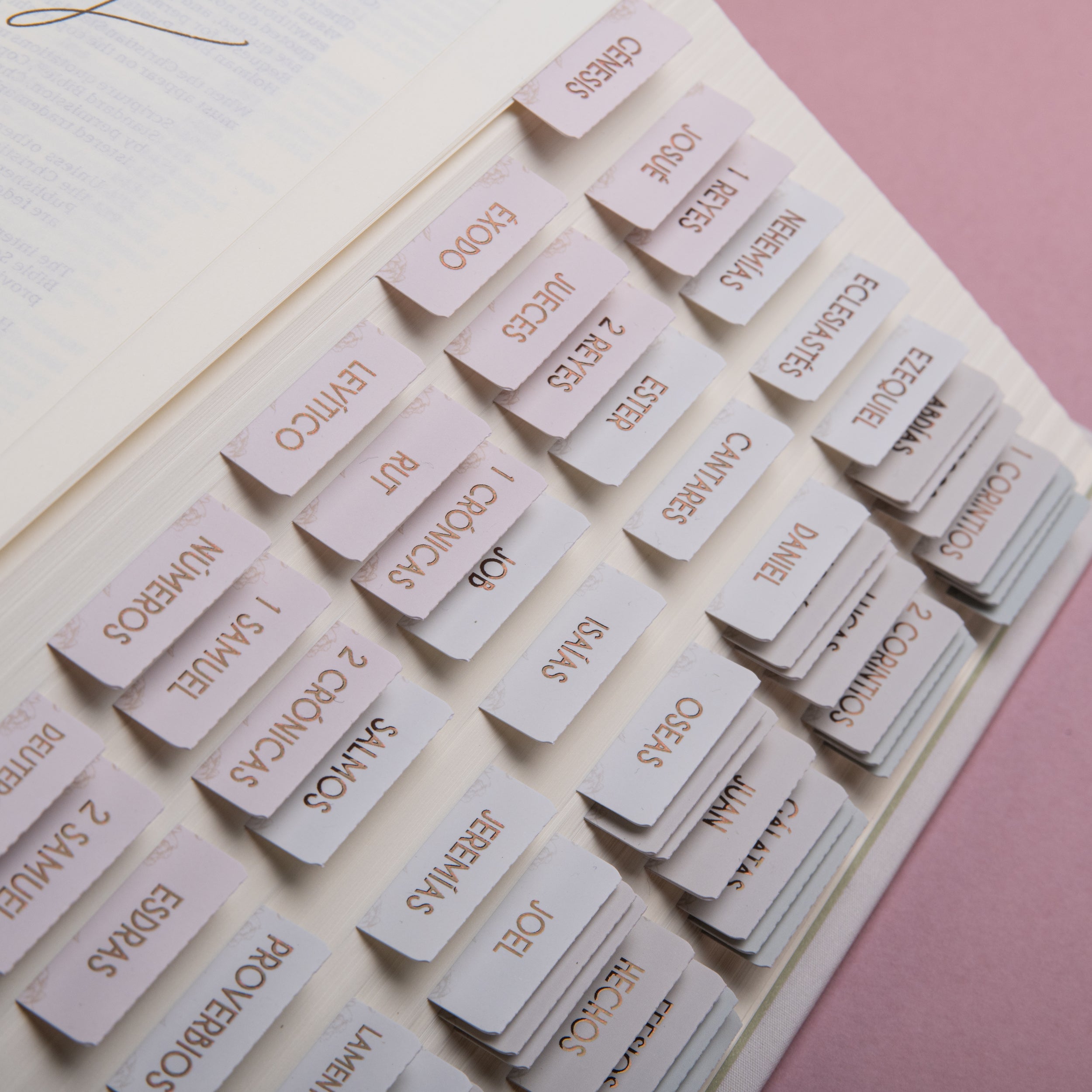 Spanish Bible Tabs - Bondad Theme