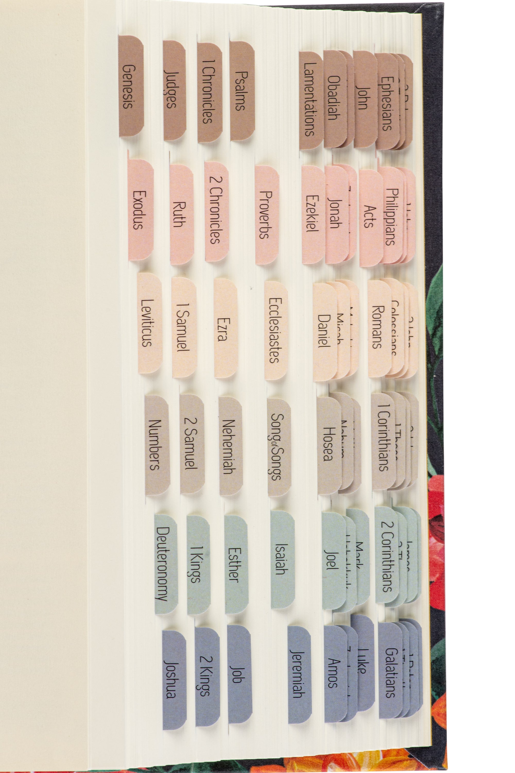 Bible Tabs - Macarons Theme