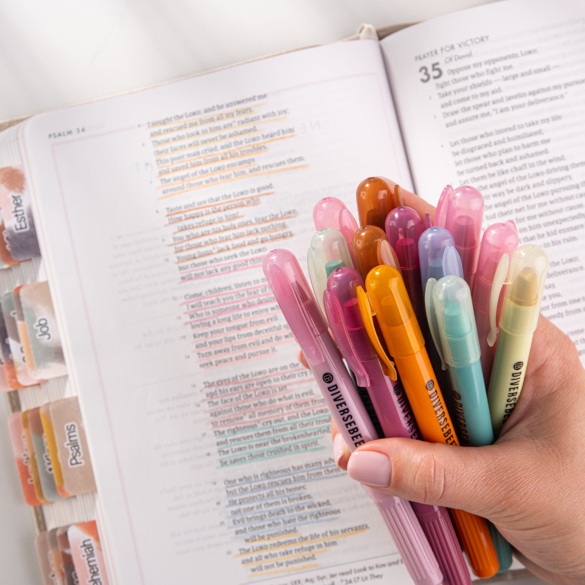 DiverseBee No Bleed Highlighters Vintage colors