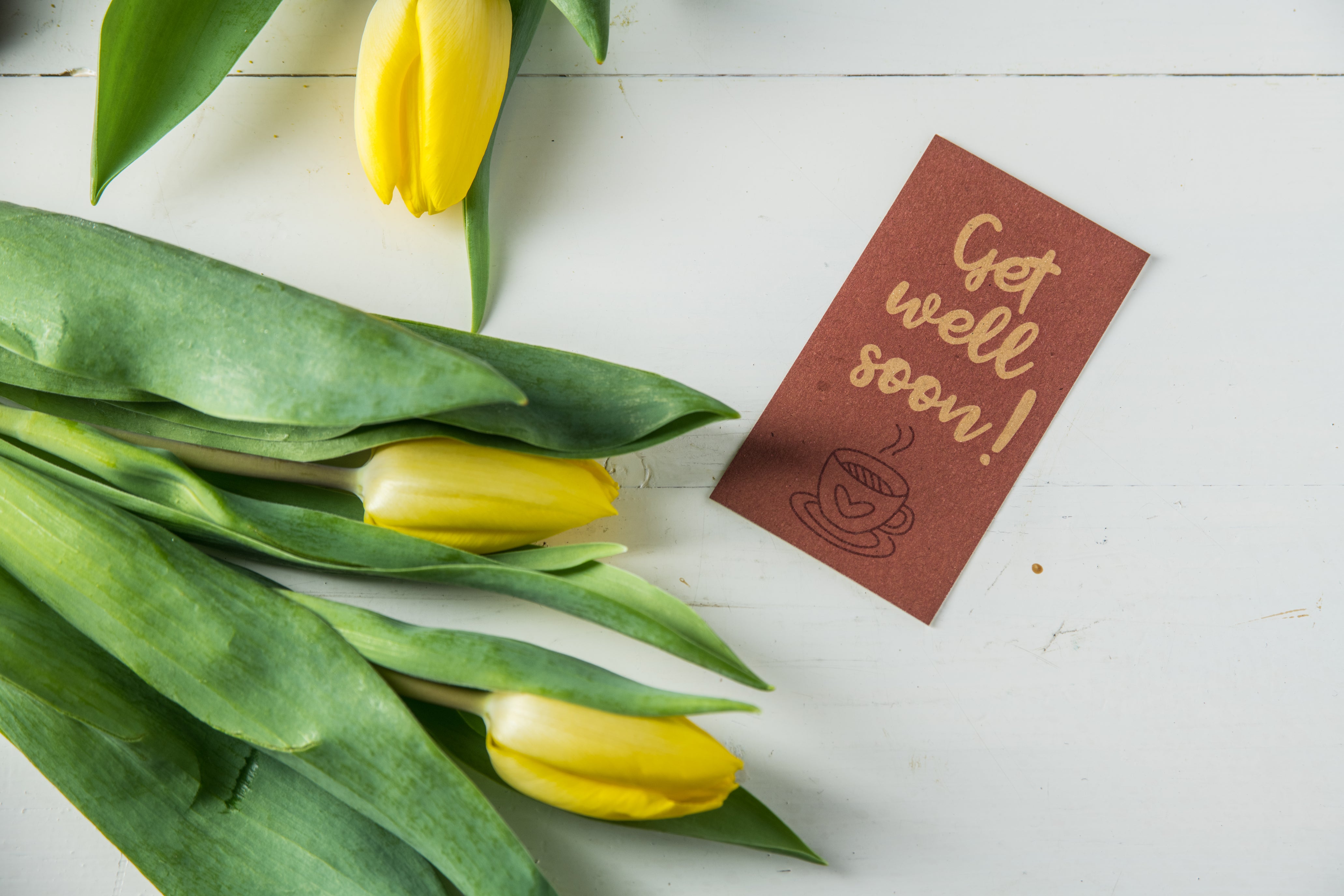 DiverseBee Gratitude Lunch Box Cards