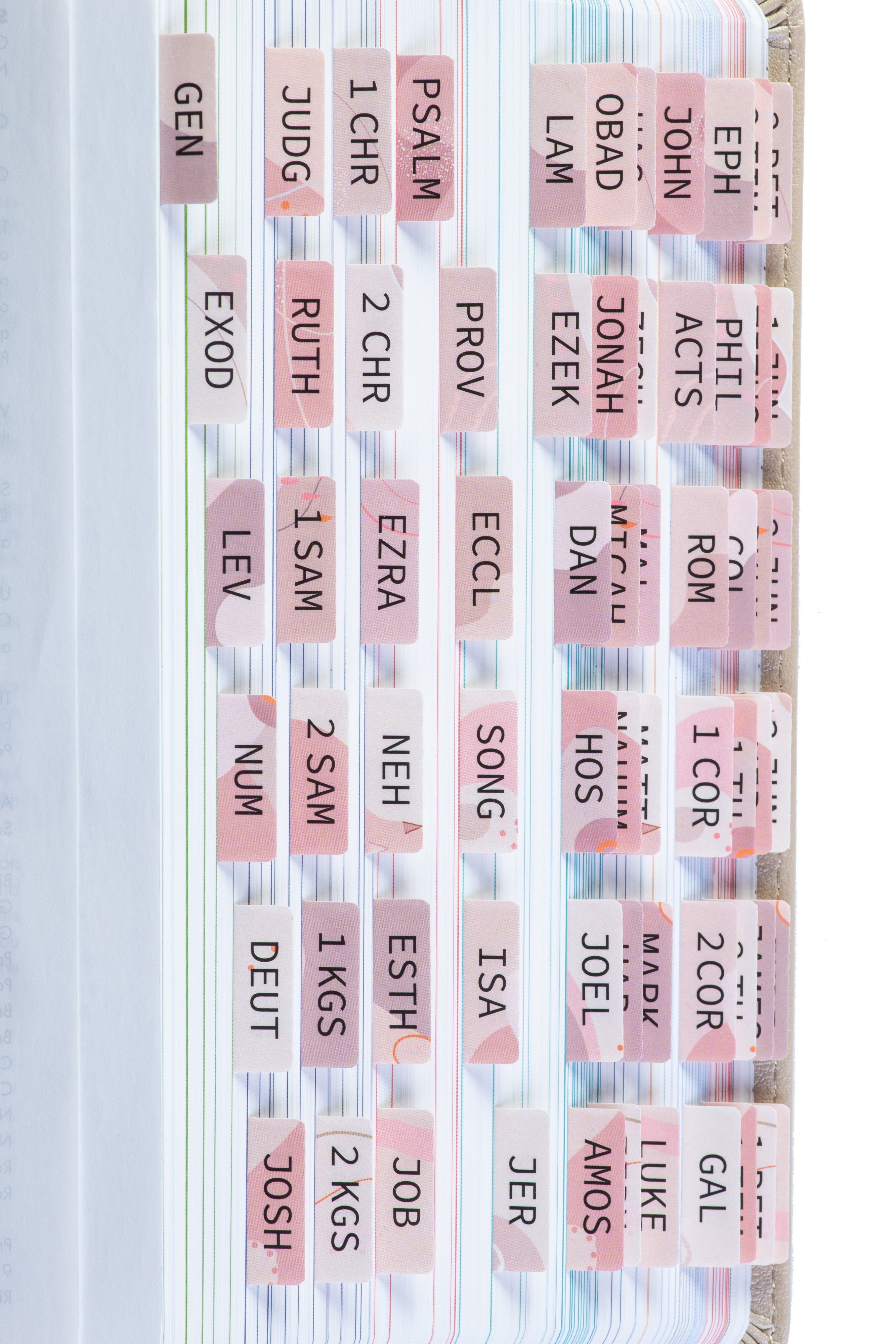 DiverseBee Neutral Bible Tabs