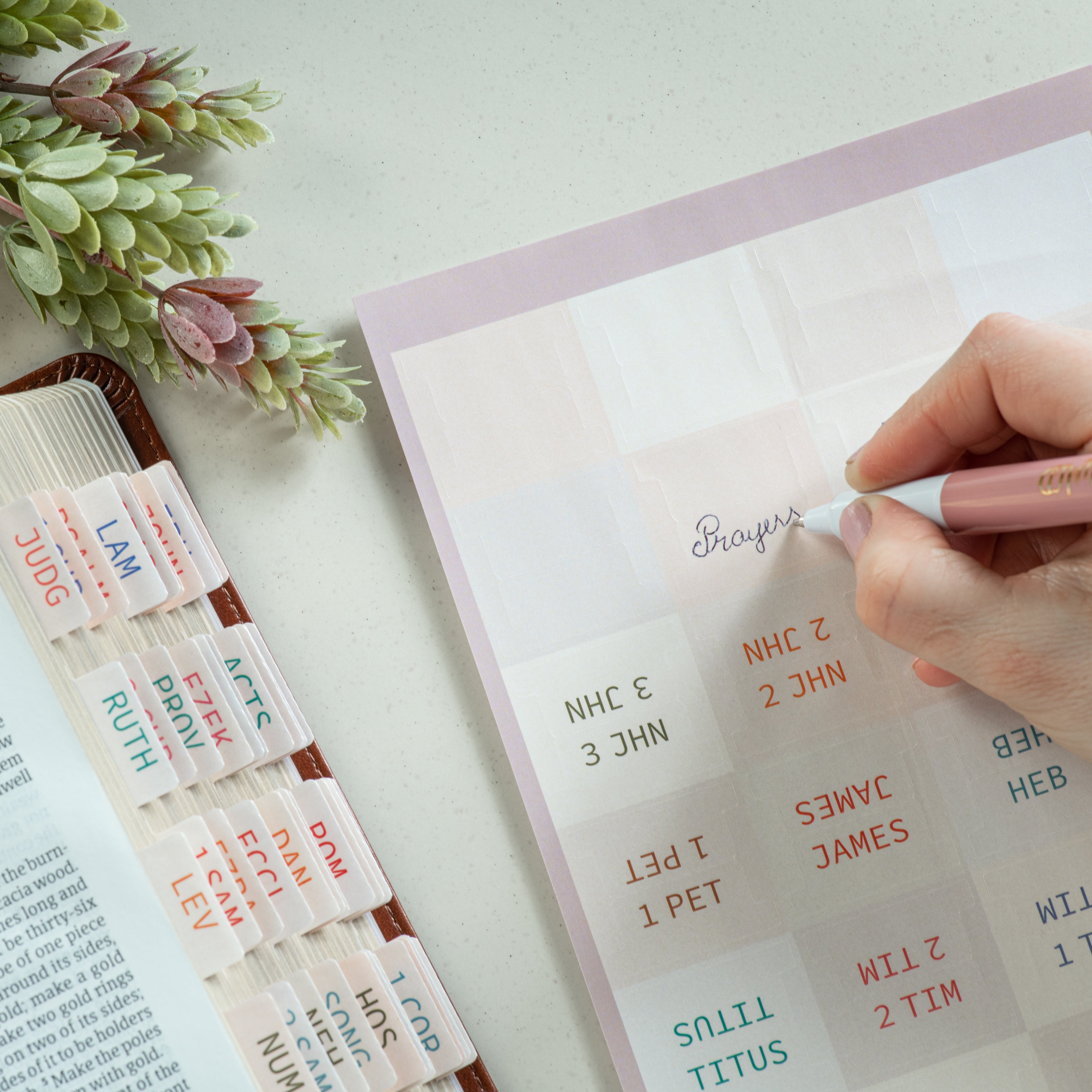 Bible Tabs Old and New Testament