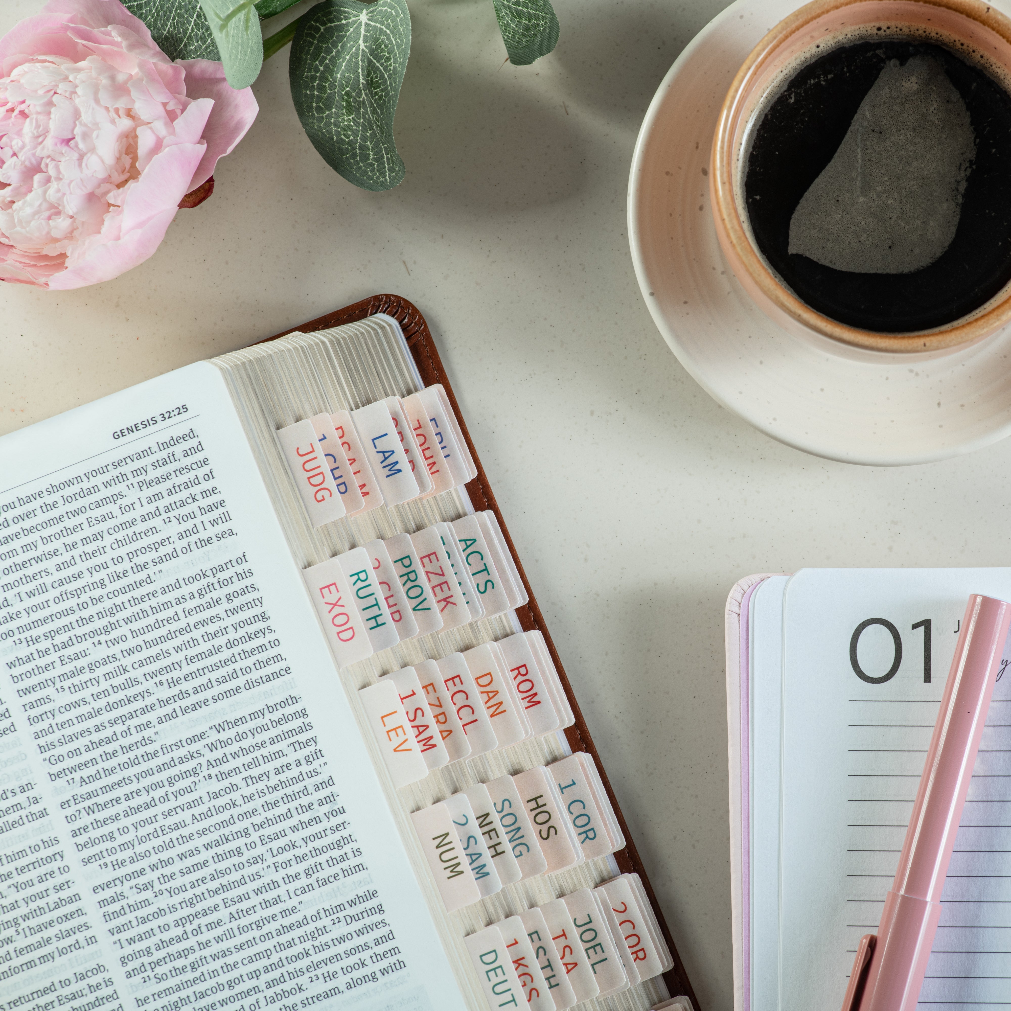 Neutral Bible Tabs for kids