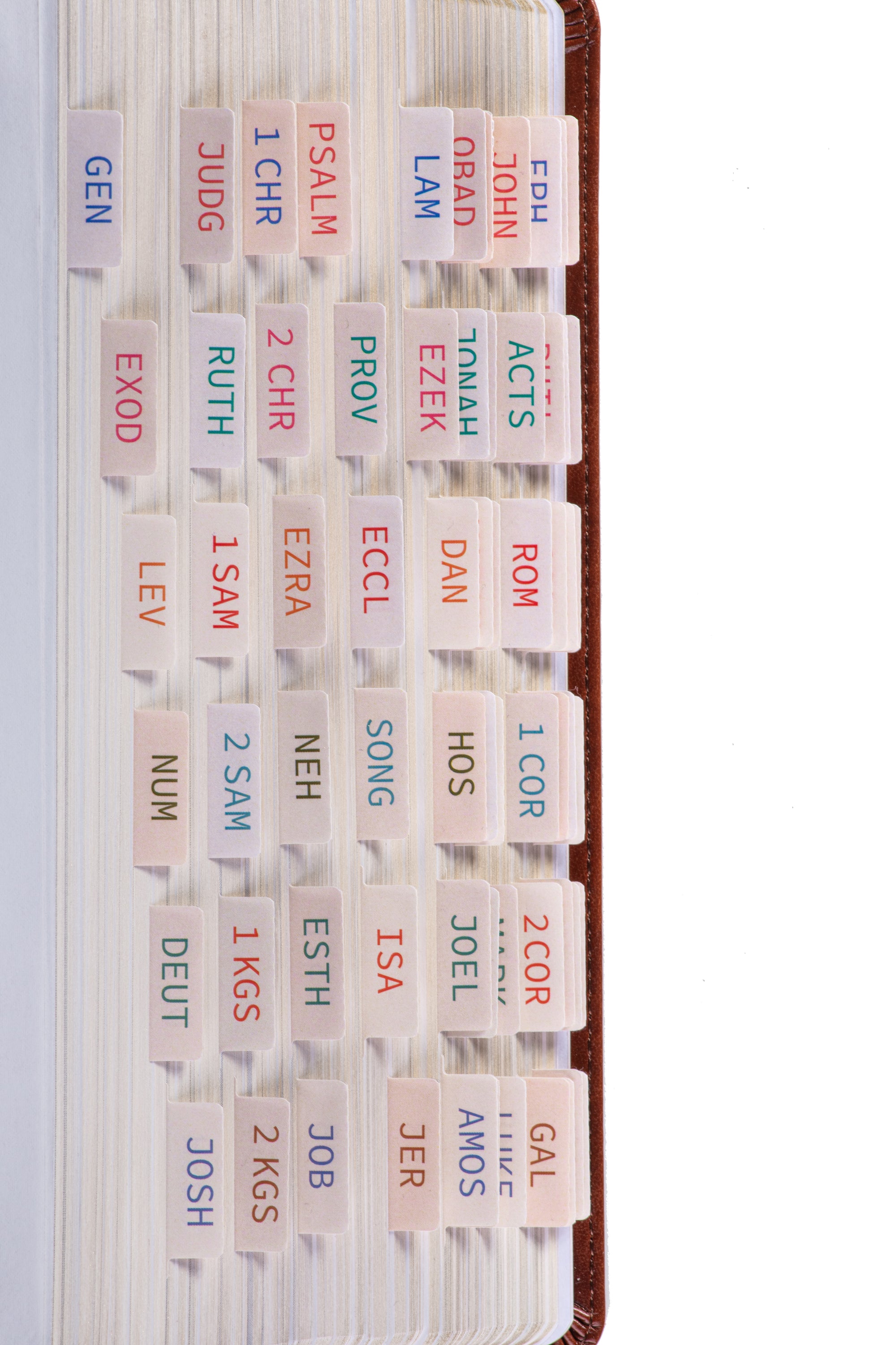 DiverseBee Laminated Mini Bible Tabs - Amber