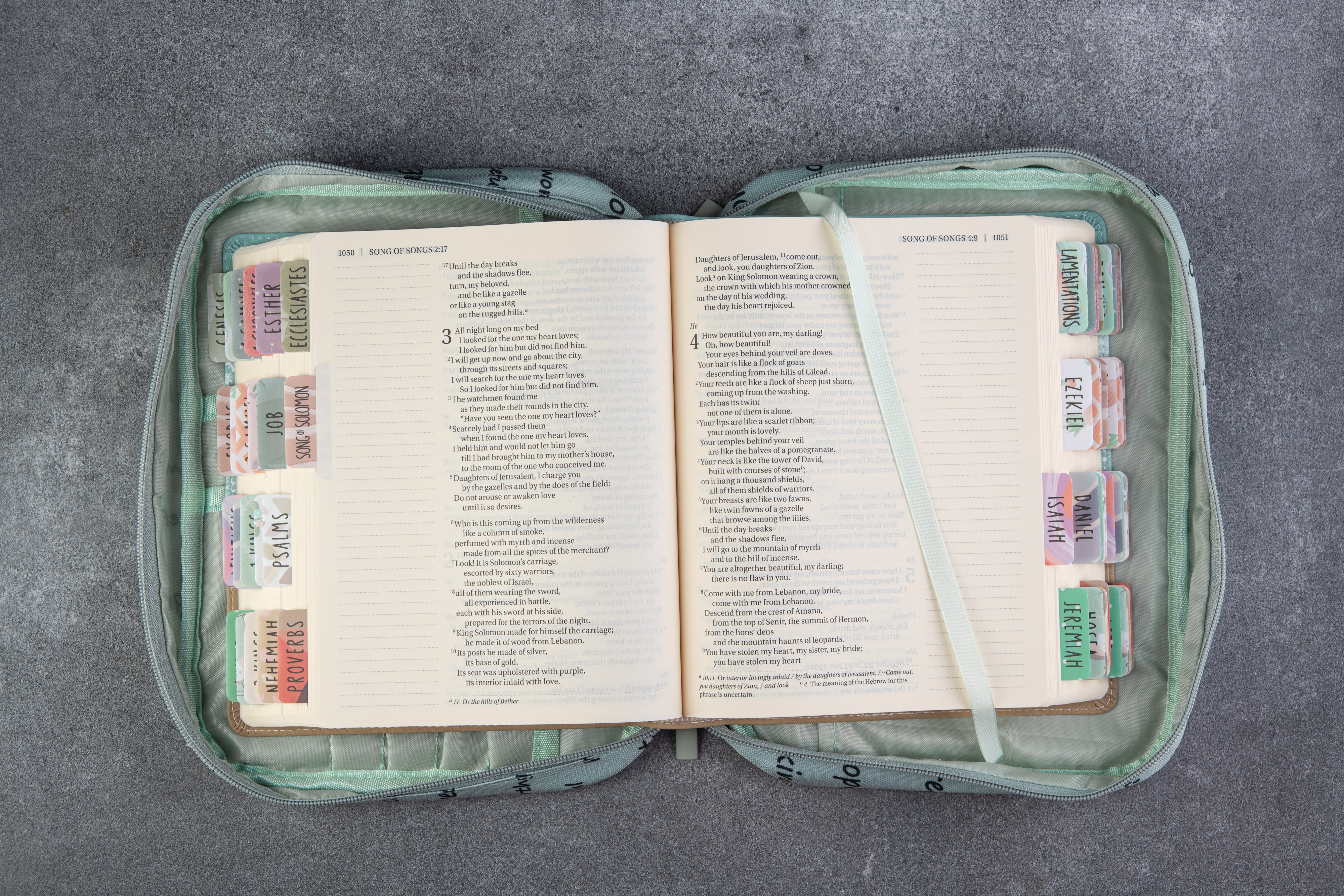 Bible case for women