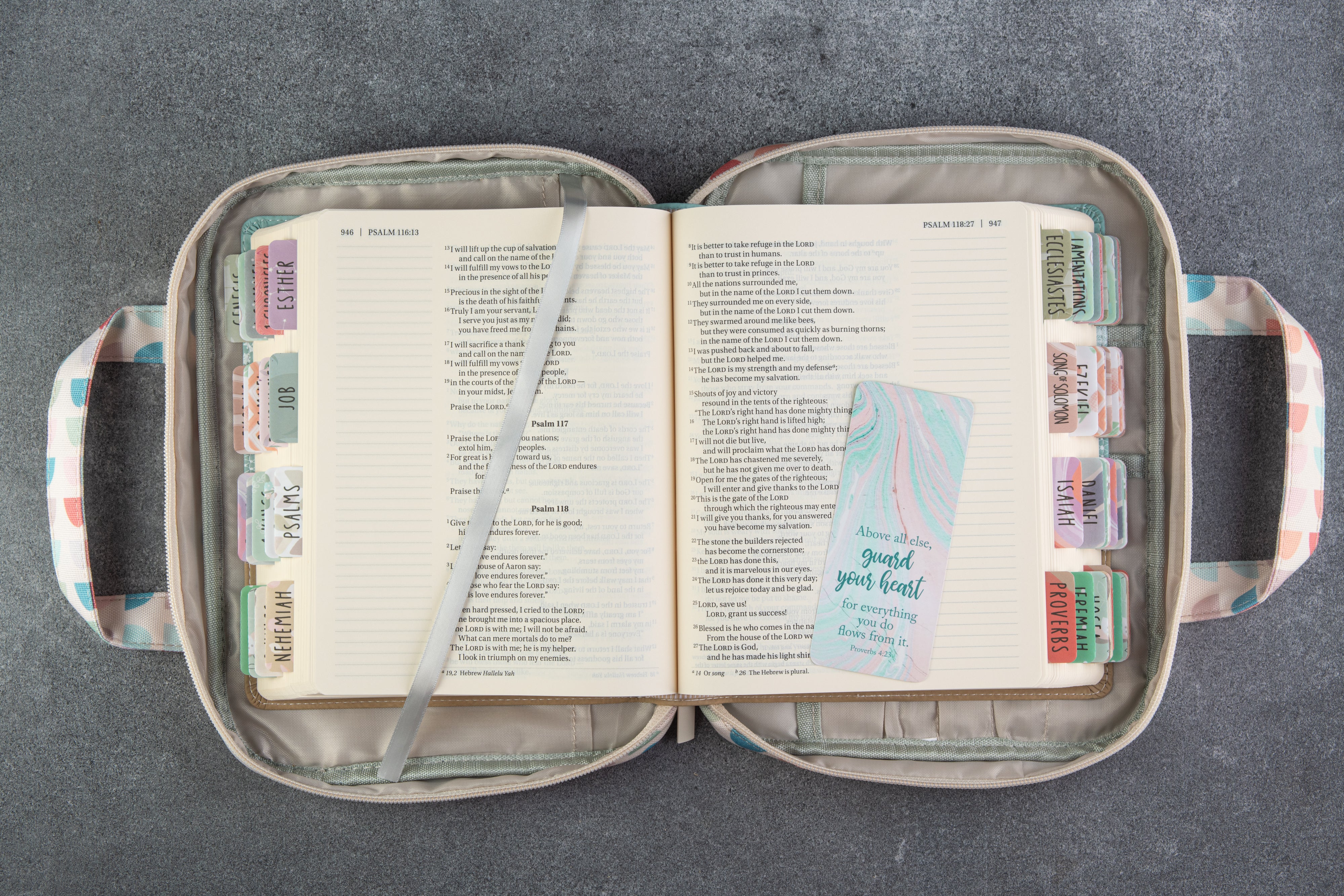 Bible carrying case