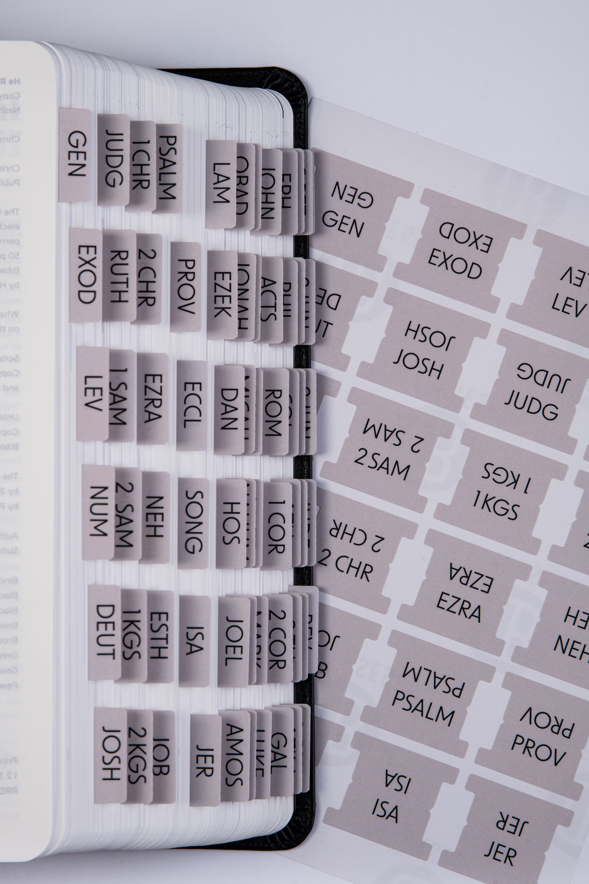 Bible Tabs Mini - Clay Theme