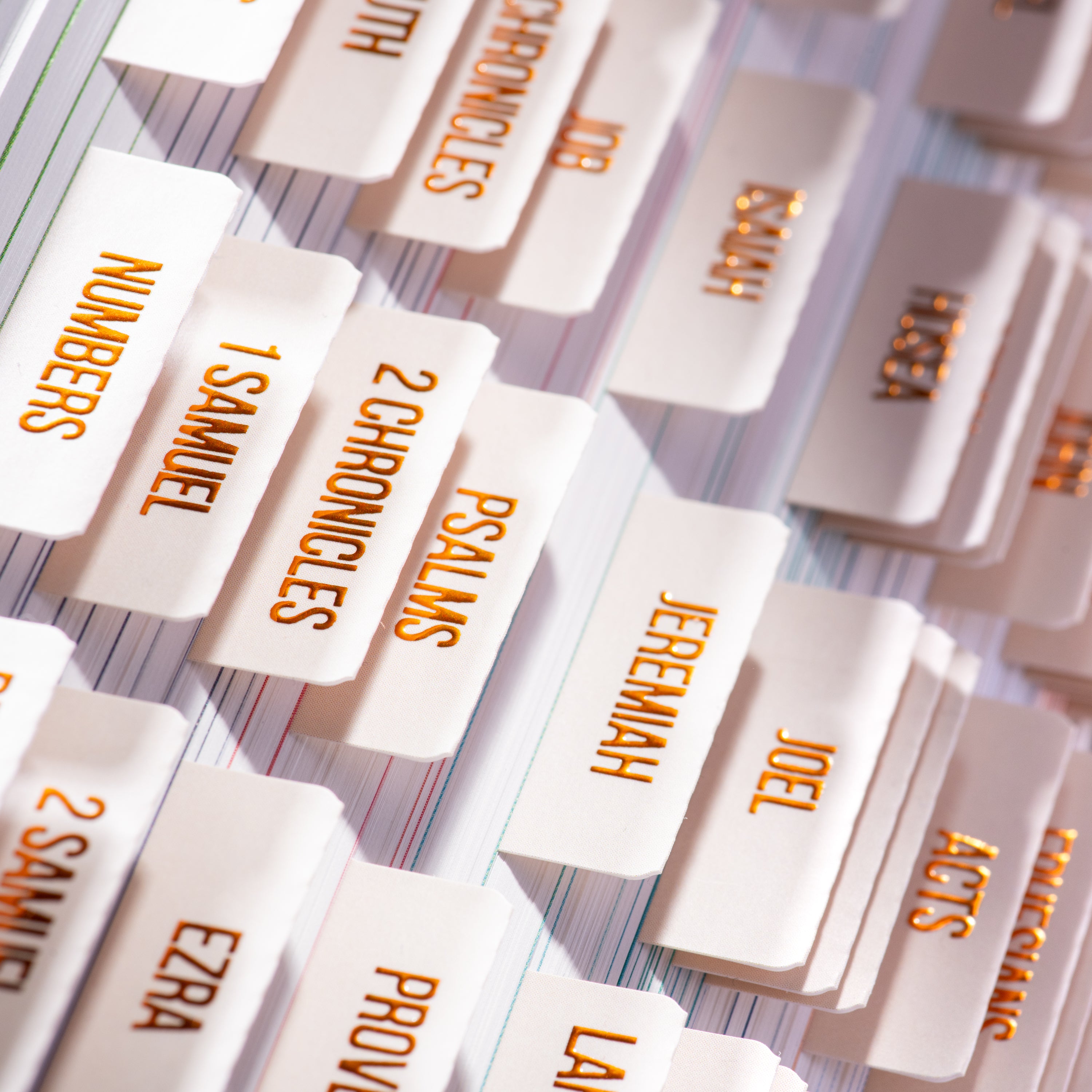 Bible Tabs - Alabaster Theme (Copper Embossed Lettering)