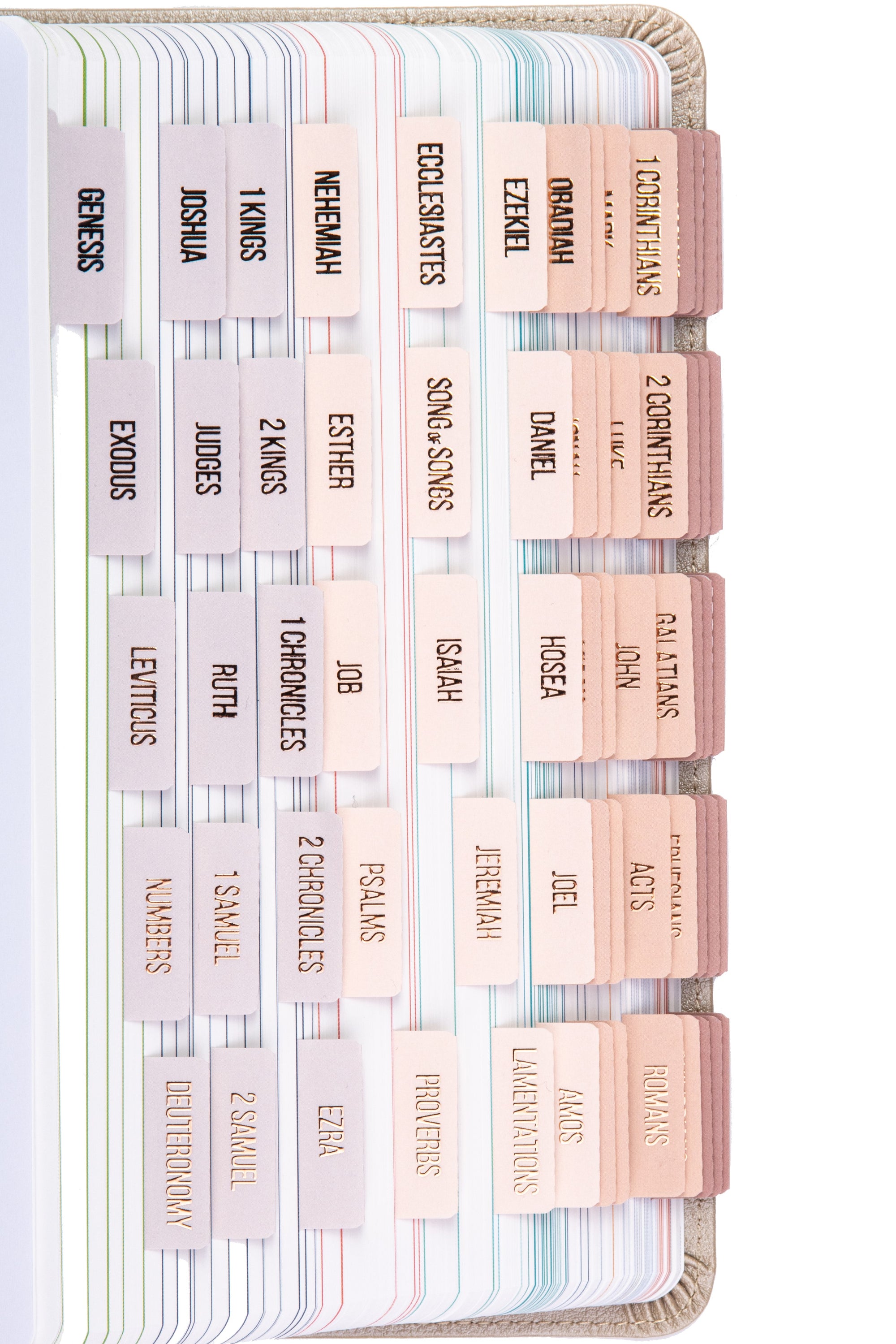 DiverseBee Gold Bible Tabs