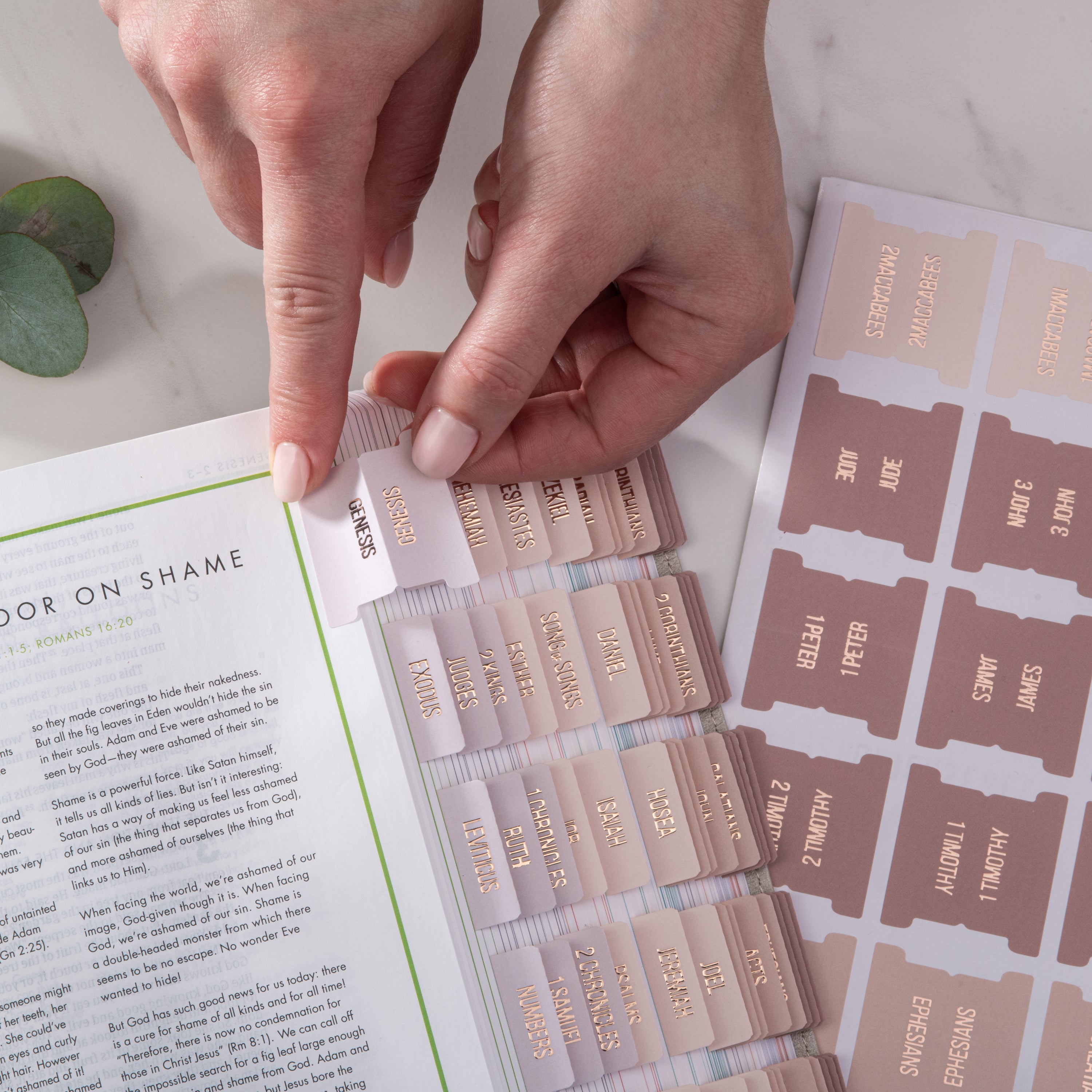 Bible Tabs - Pearl Theme (Rose Gold Embossed Lettering)