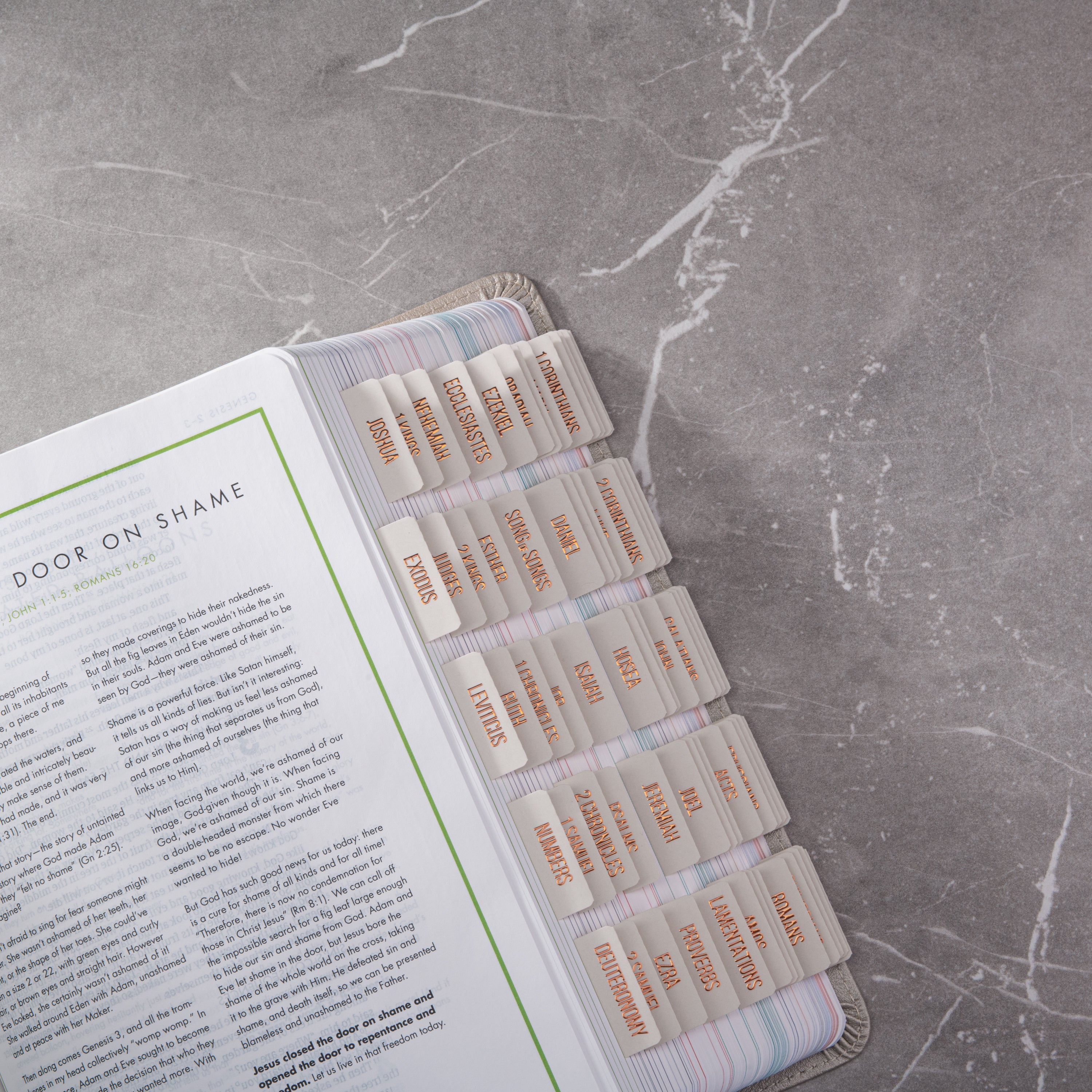 Bible Tabs - Alabaster Theme (Copper Embossed Lettering)