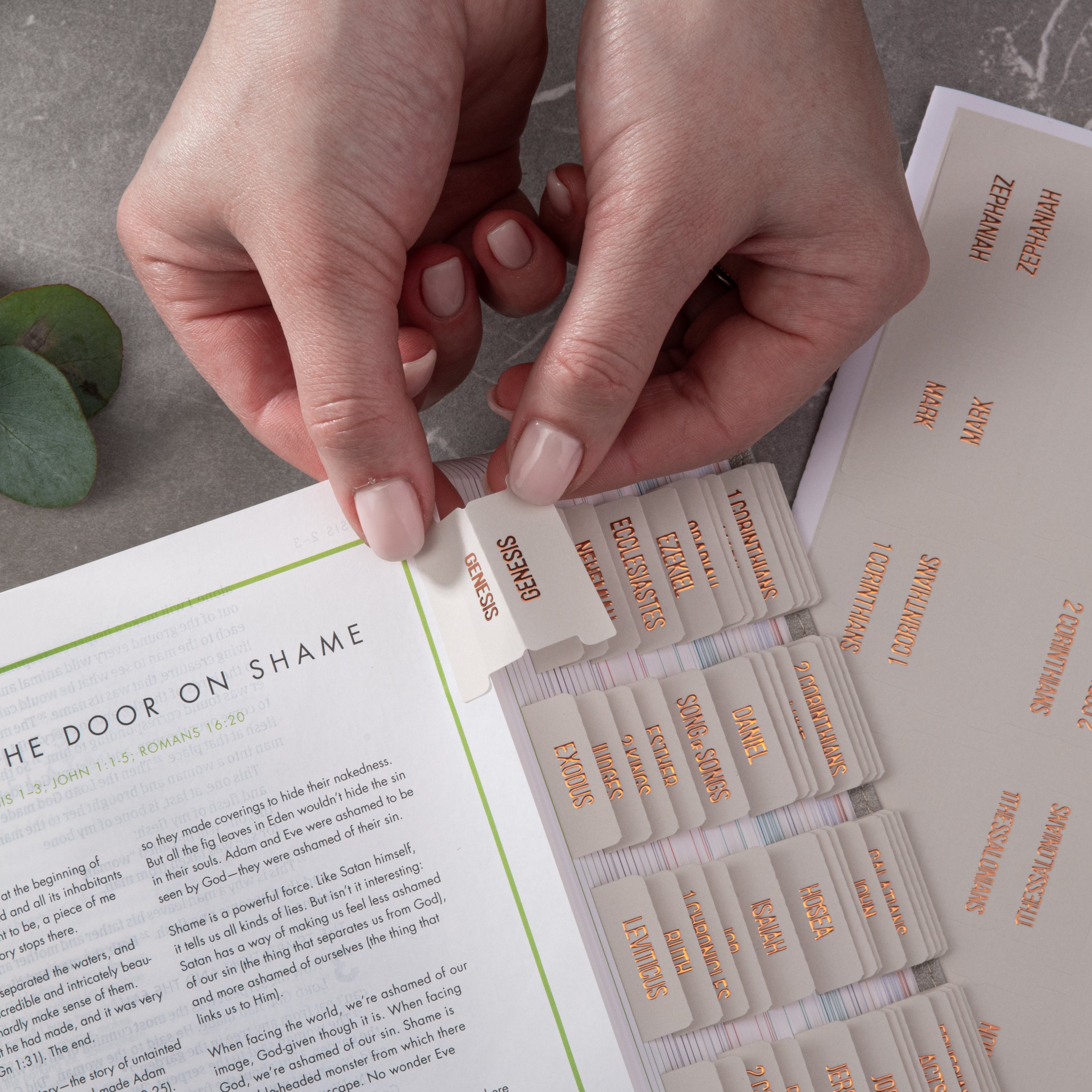 Bible Tabs - Alabaster Theme (Copper Embossed Lettering)