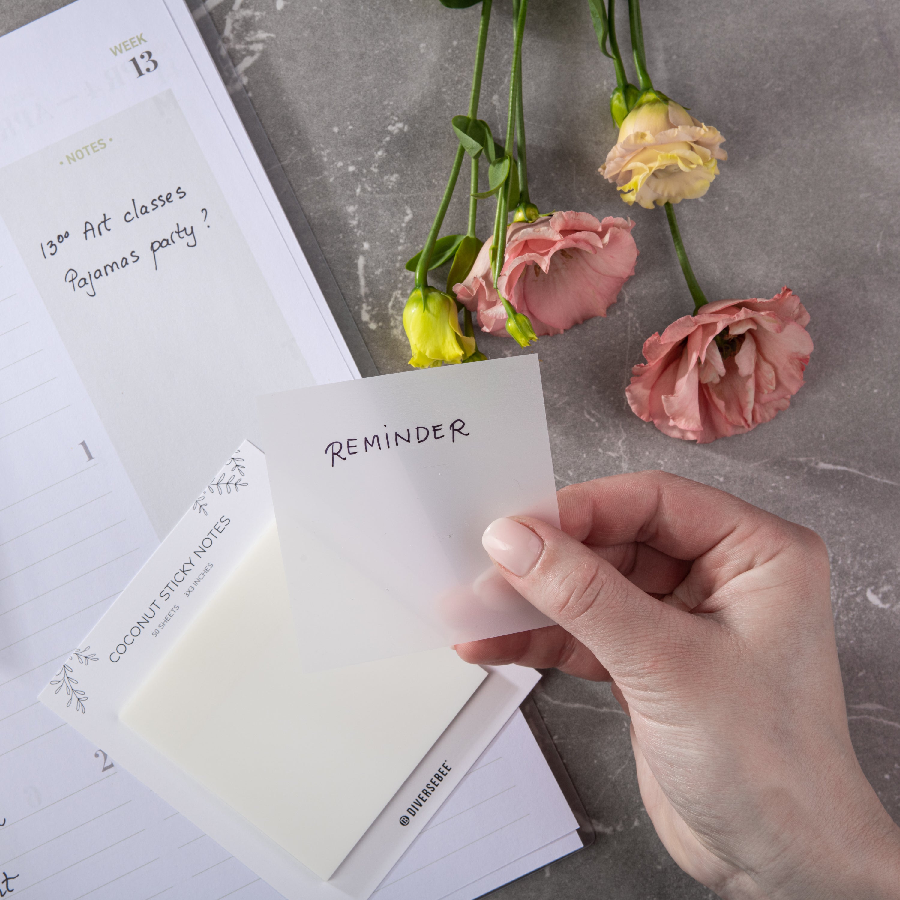 Pastel Transparent Sticky Notes - Coconut