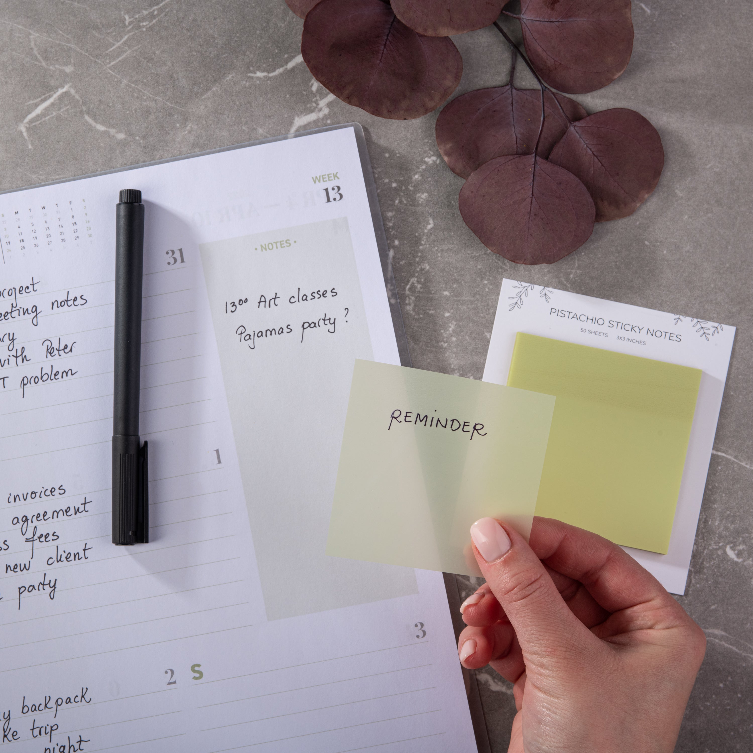 Pastel Transparent Sticky Notes - Pistachio
