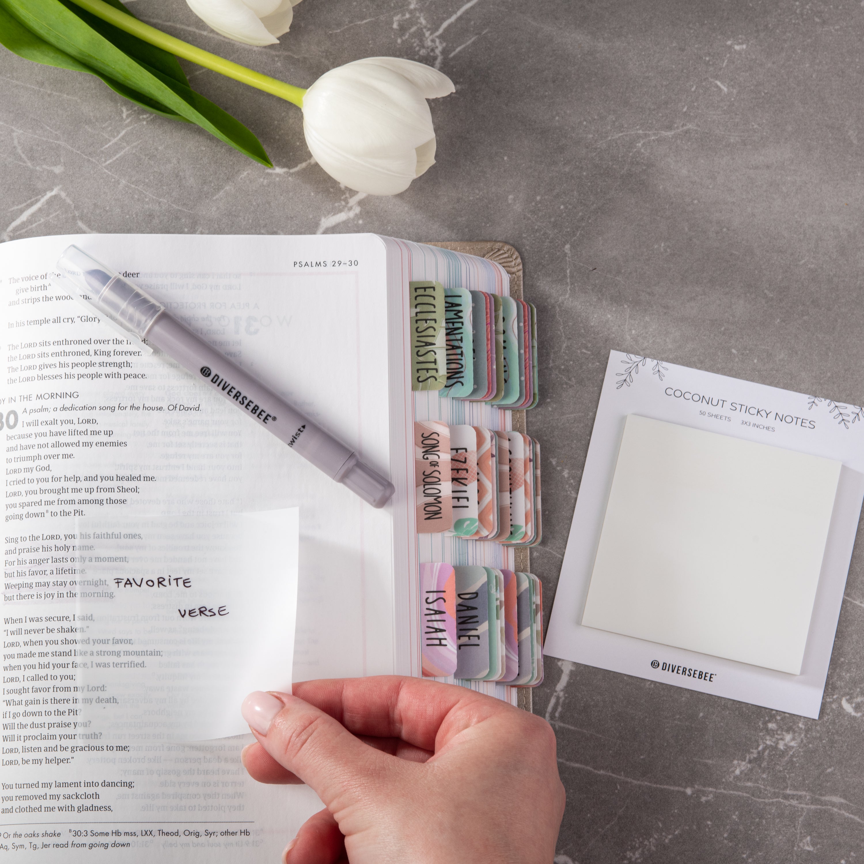 Pastel Transparent Sticky Notes - Coconut