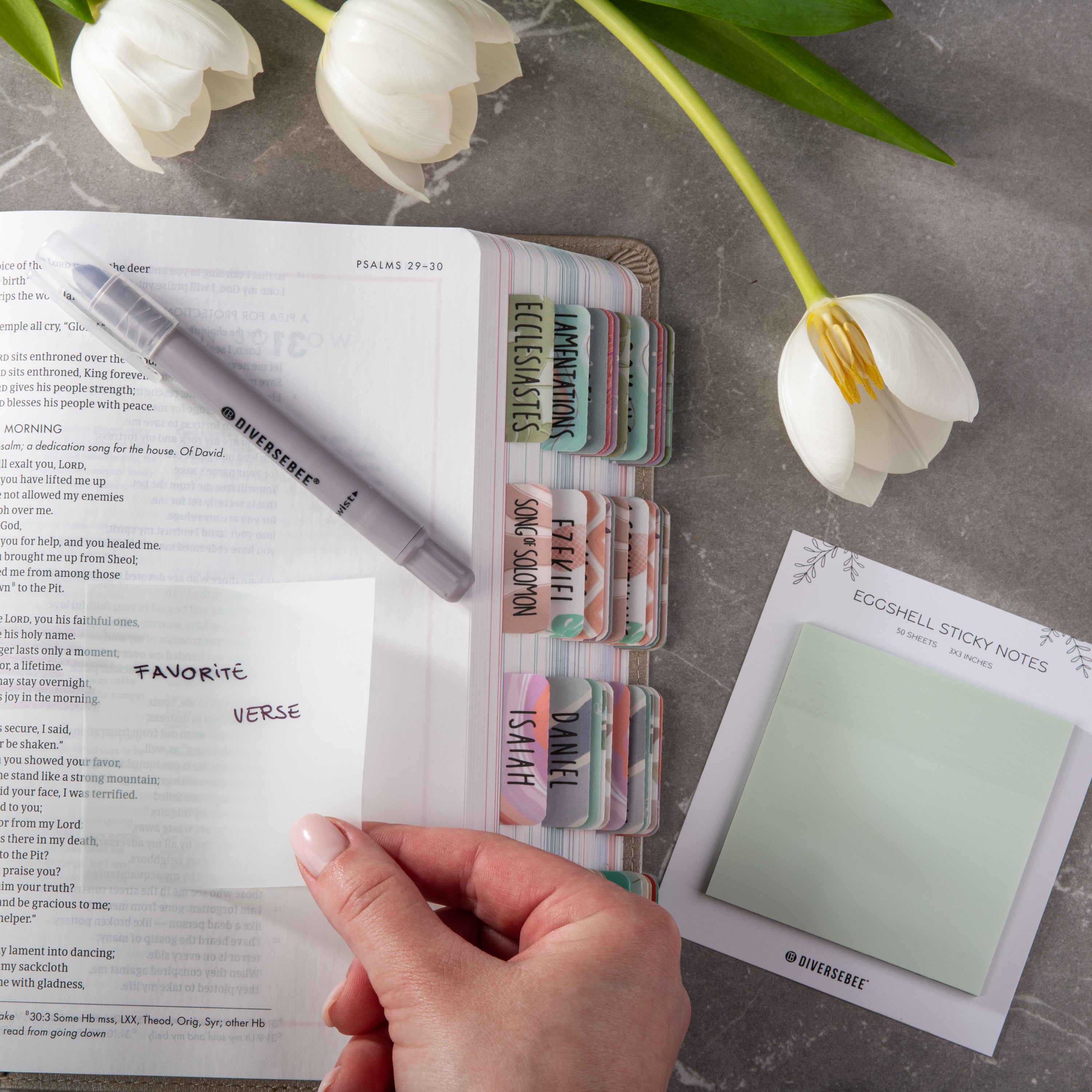 Pastel Transparent Sticky Notes - Eggshell