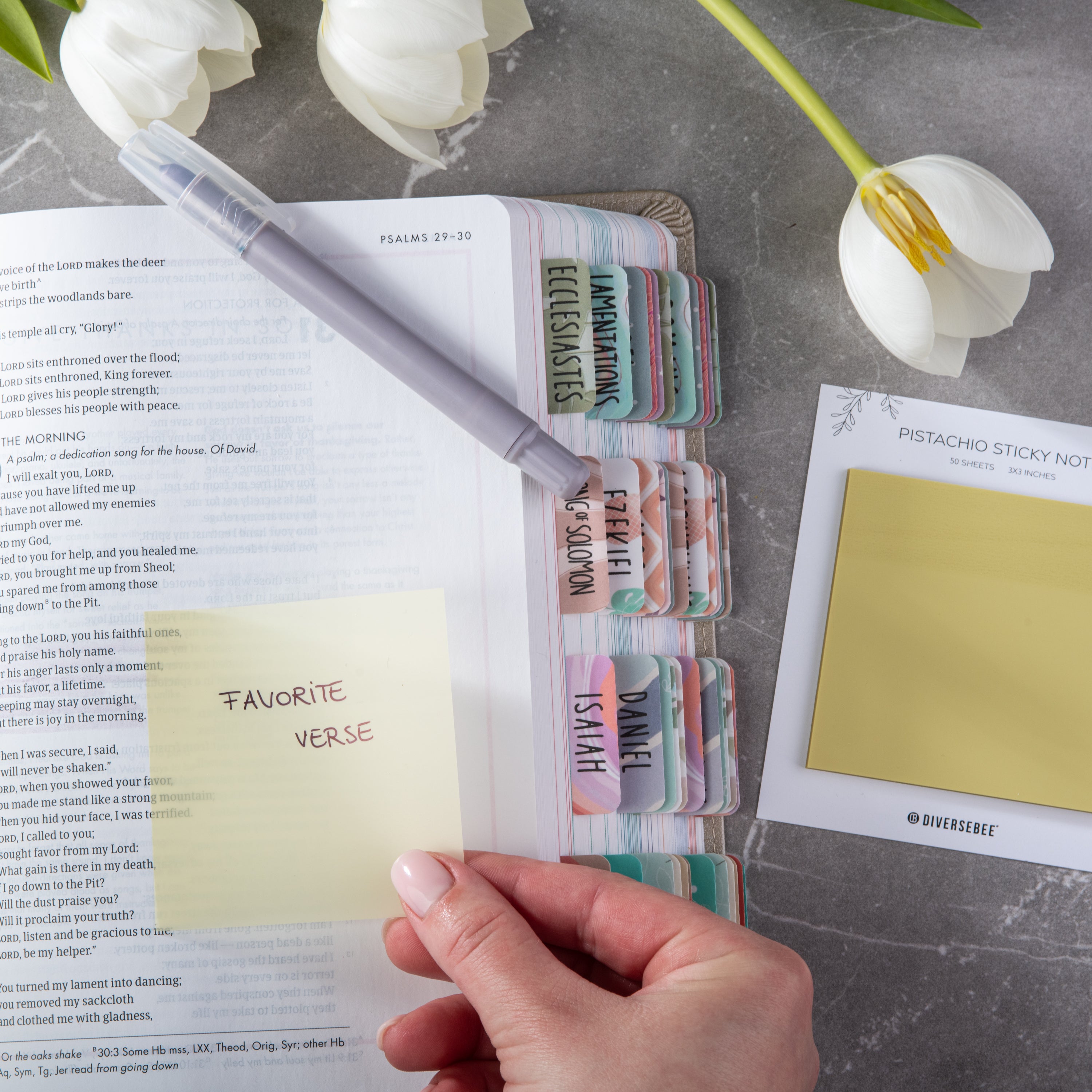 Pastel Transparent Sticky Notes - Pistachio