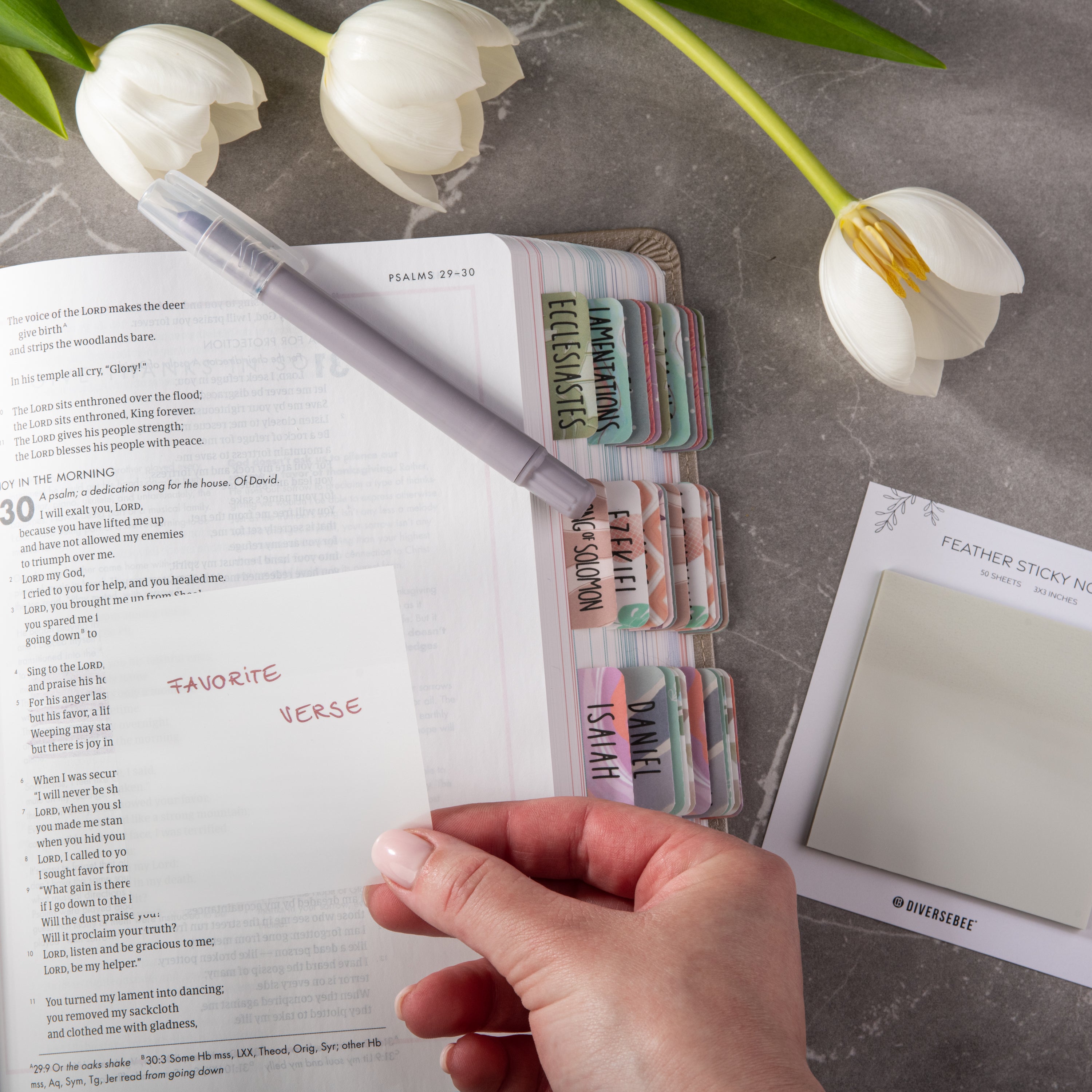 Pastel Transparent Sticky Notes - Feather
