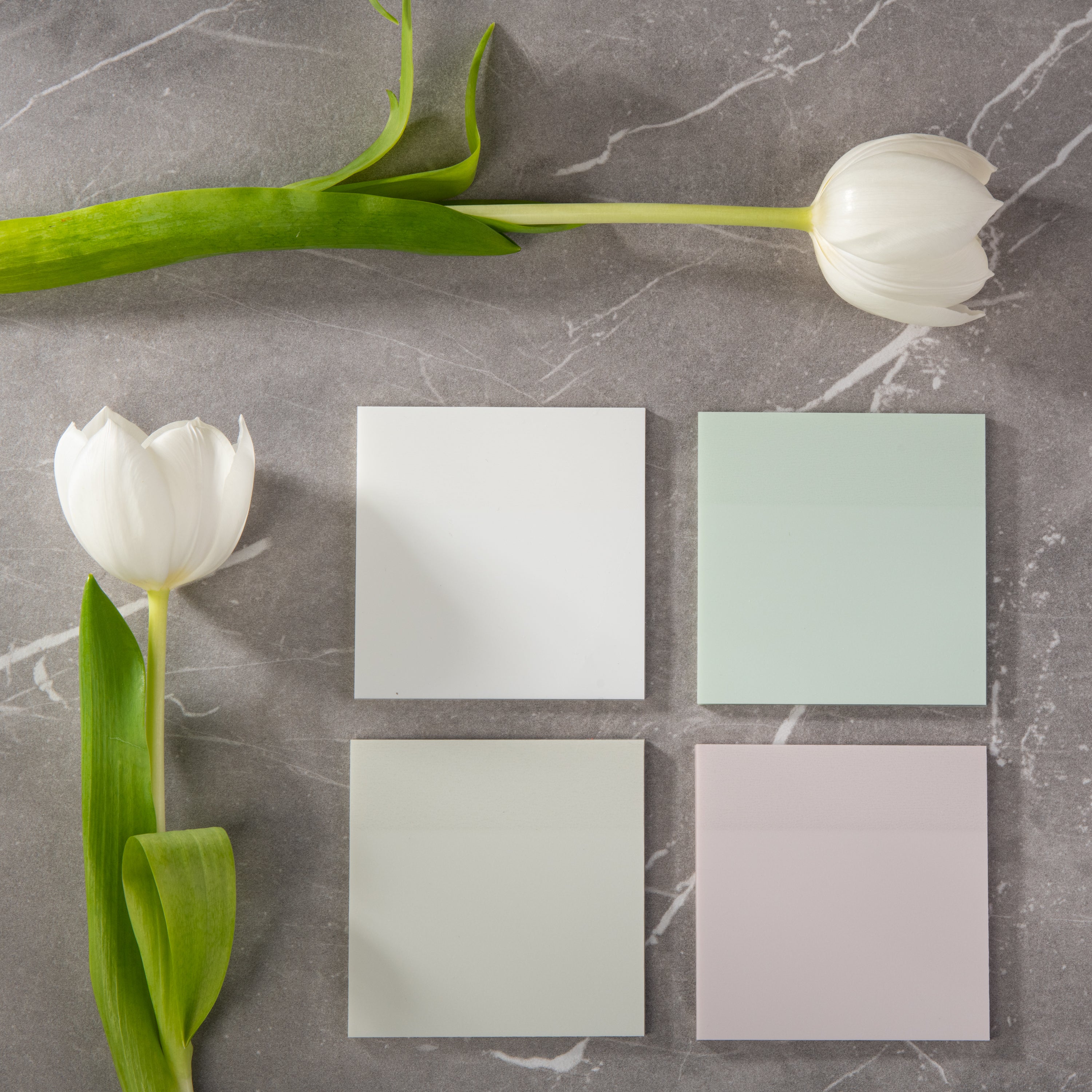 Pastel Transparent Sticky Notes - Eggshell