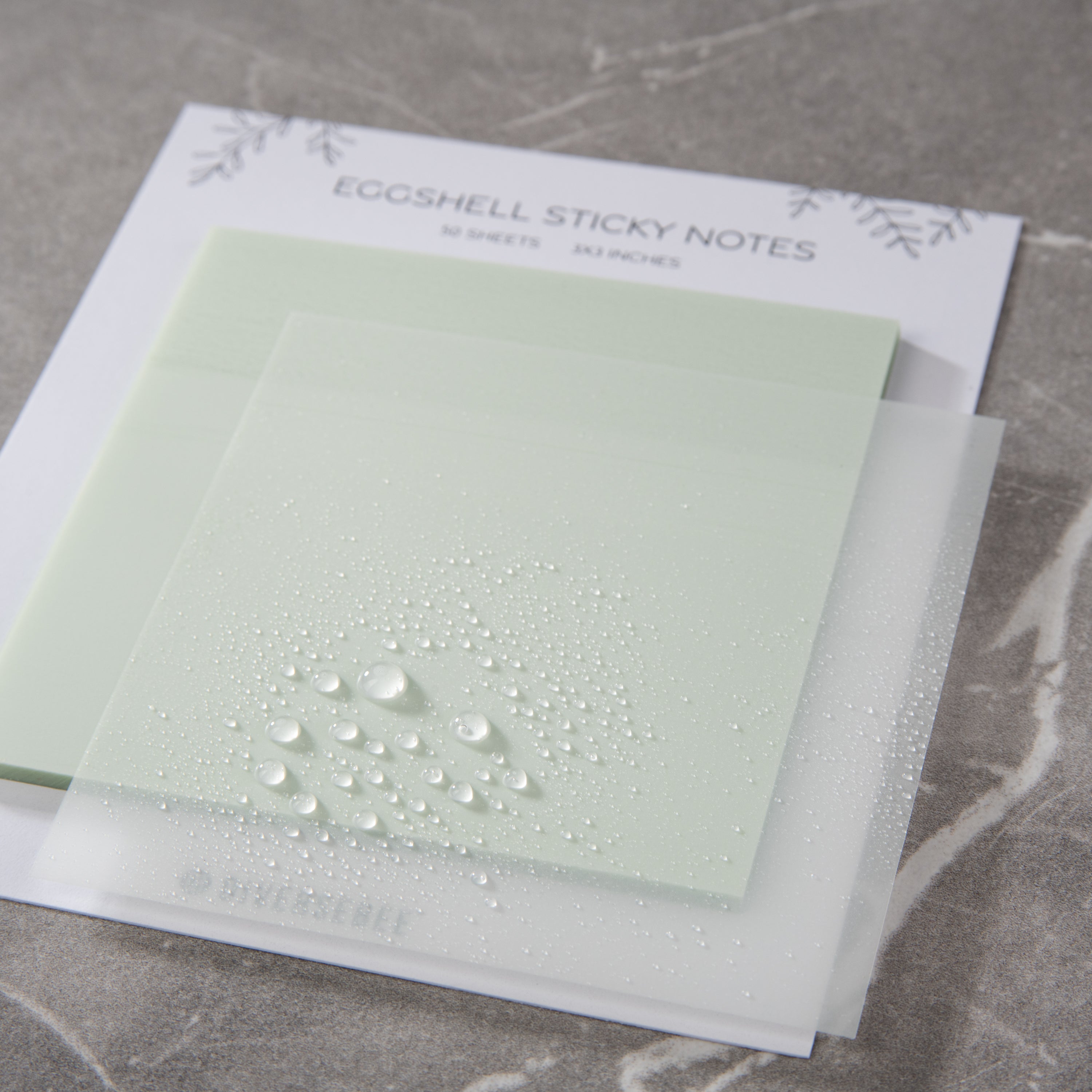 Pastel Transparent Sticky Notes - Eggshell