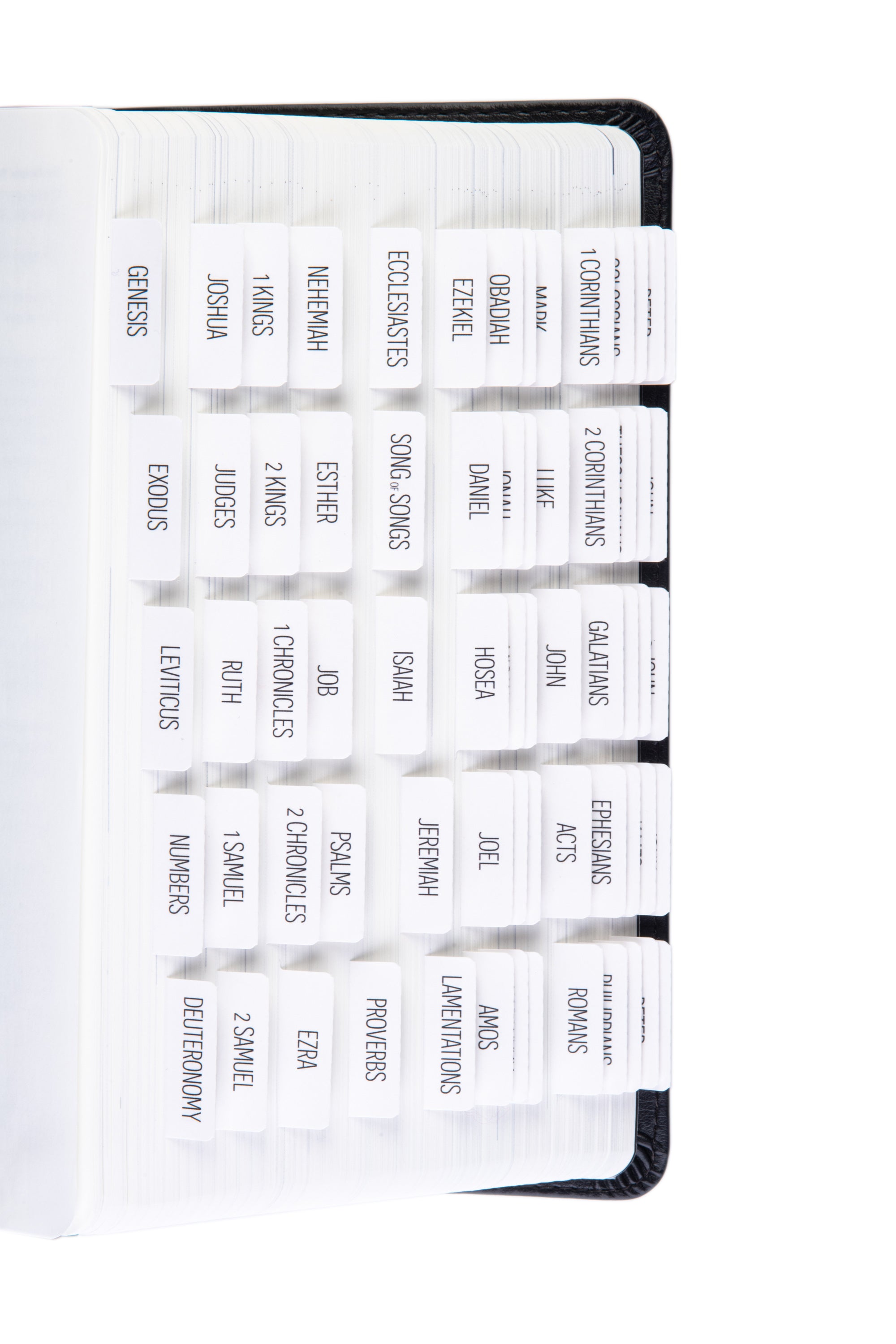 Bible Tabs - Magnolia Theme