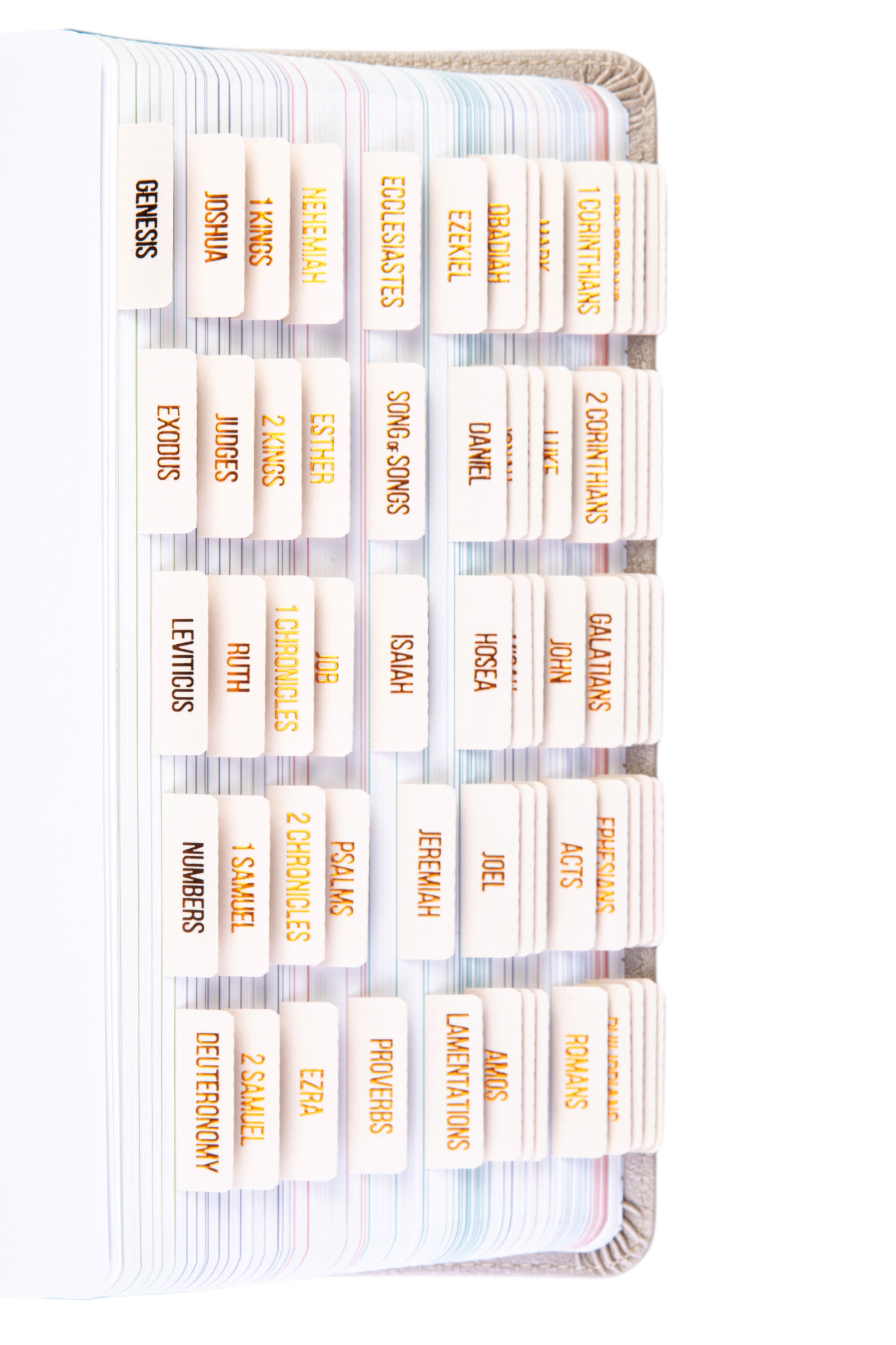 Bible Tabs - Alabaster Theme (Copper Embossed Lettering)