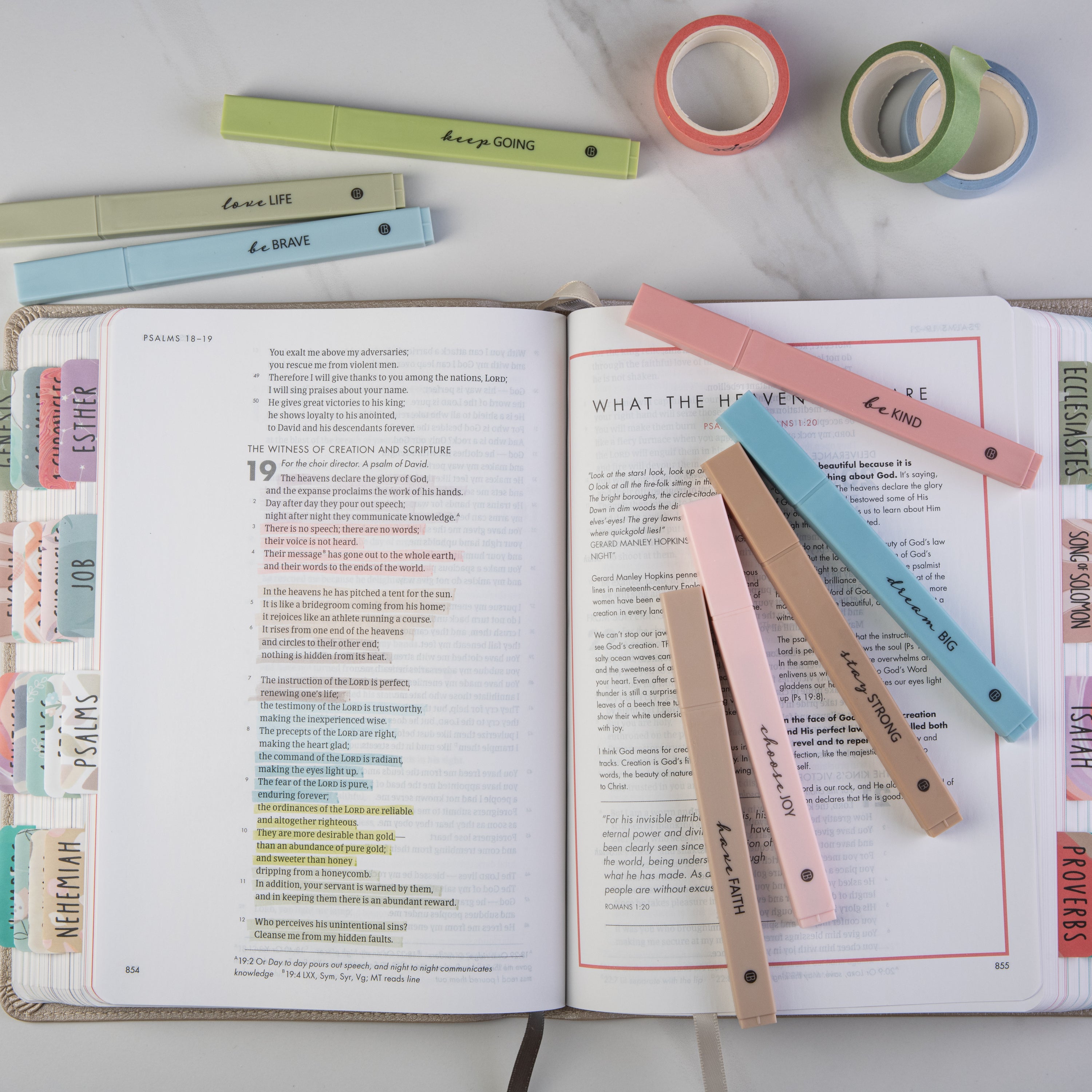 DiverseBee Bible Safe highlighters