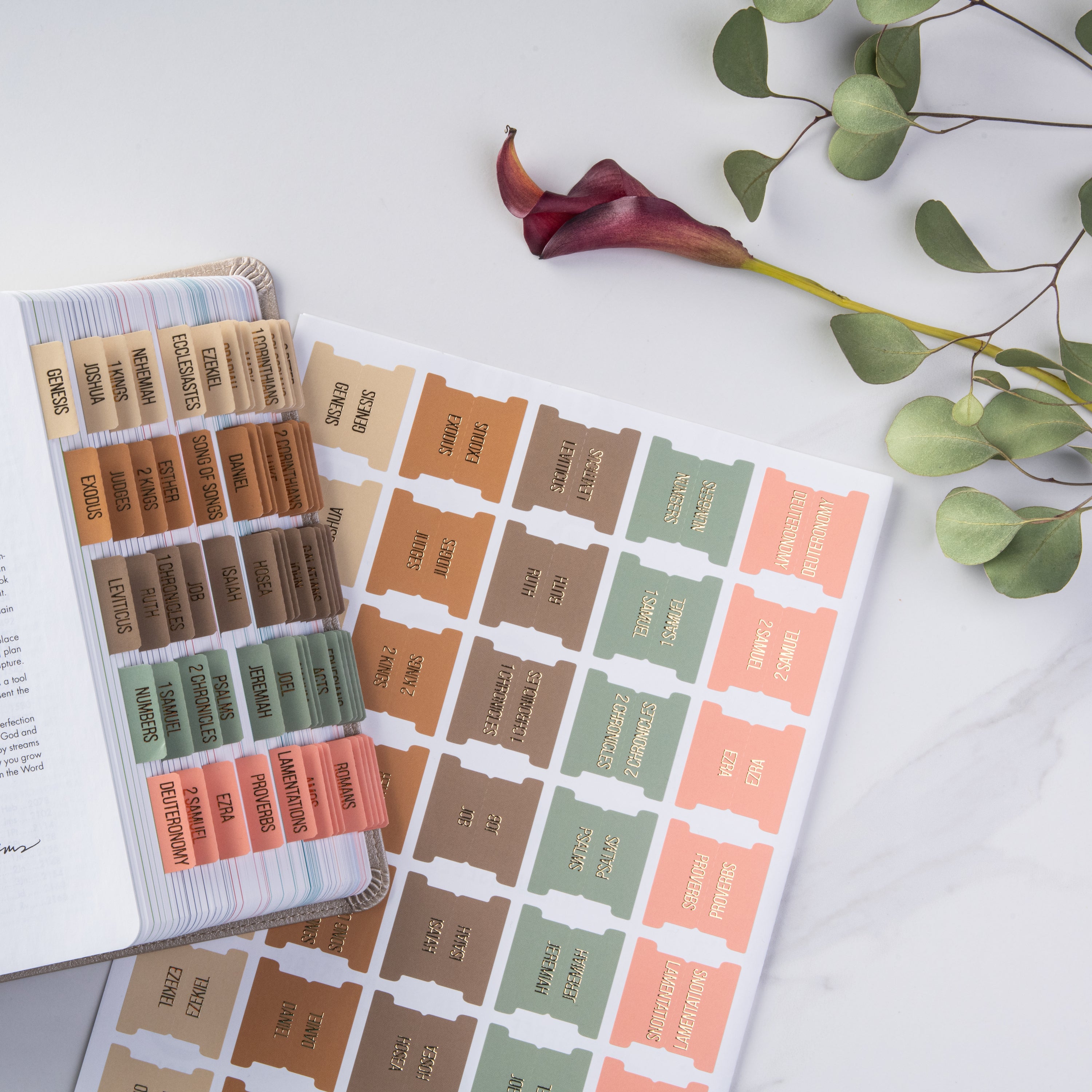 Bible Tabs - Meadow Theme (Gold Embossed Lettering)