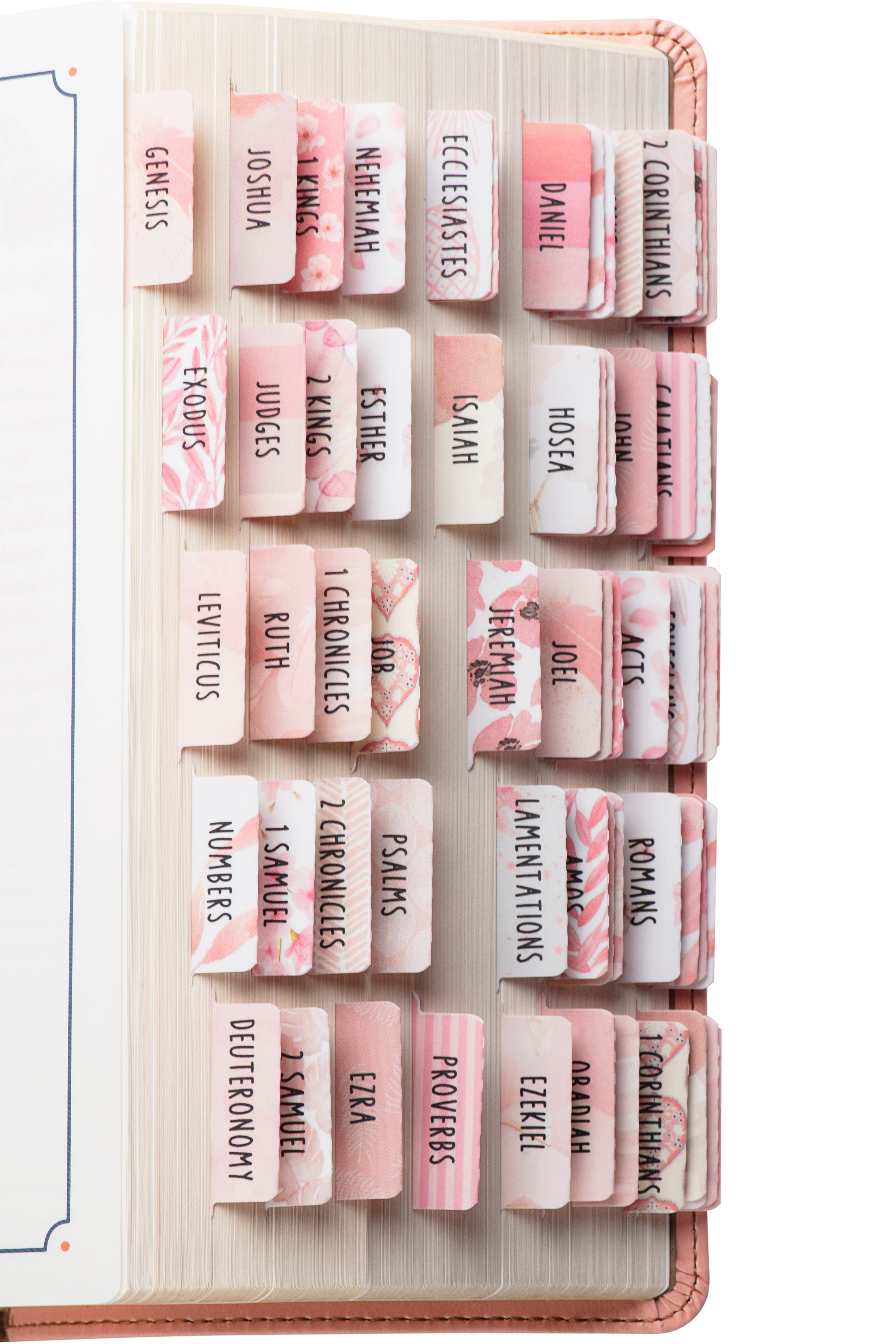 DiverseBee Bible Tabs Rose