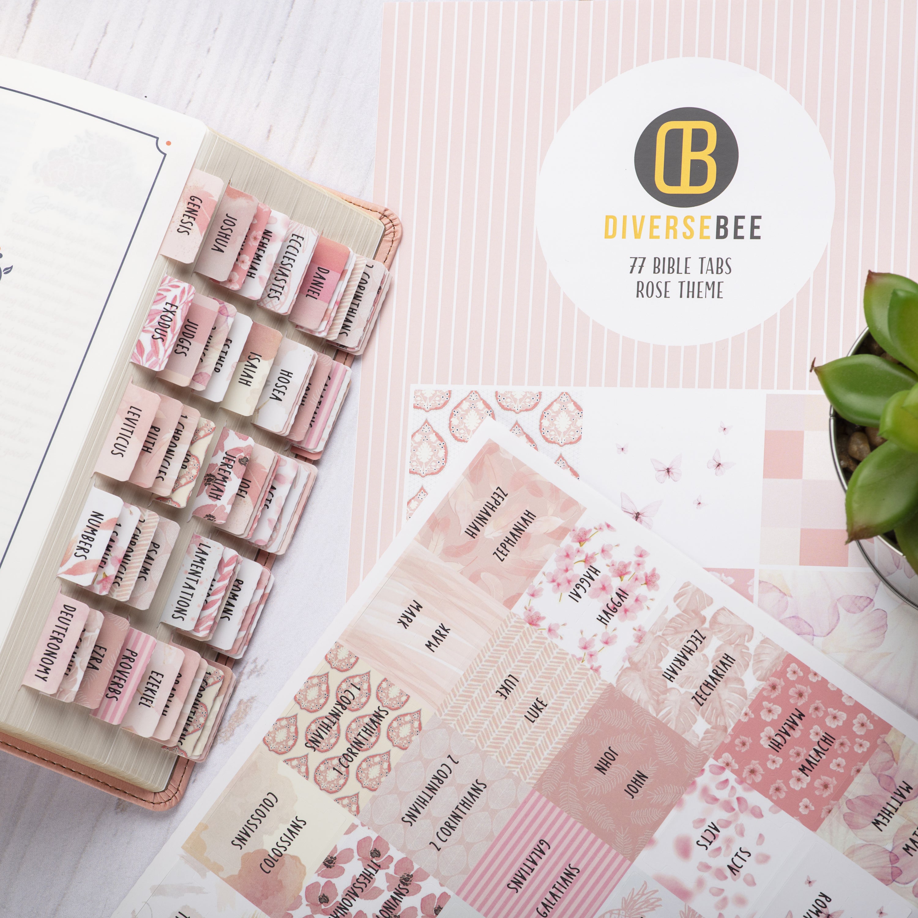 Laminated Bible Book Tabs