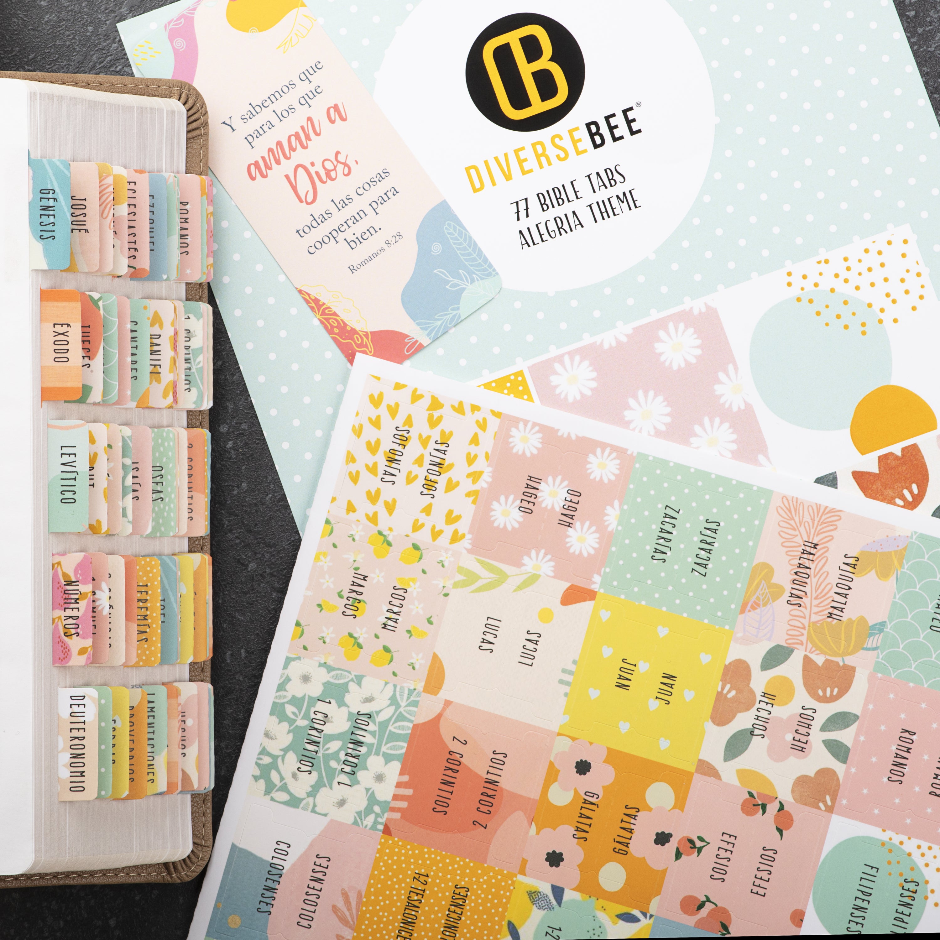 Laminated Bible Tabs