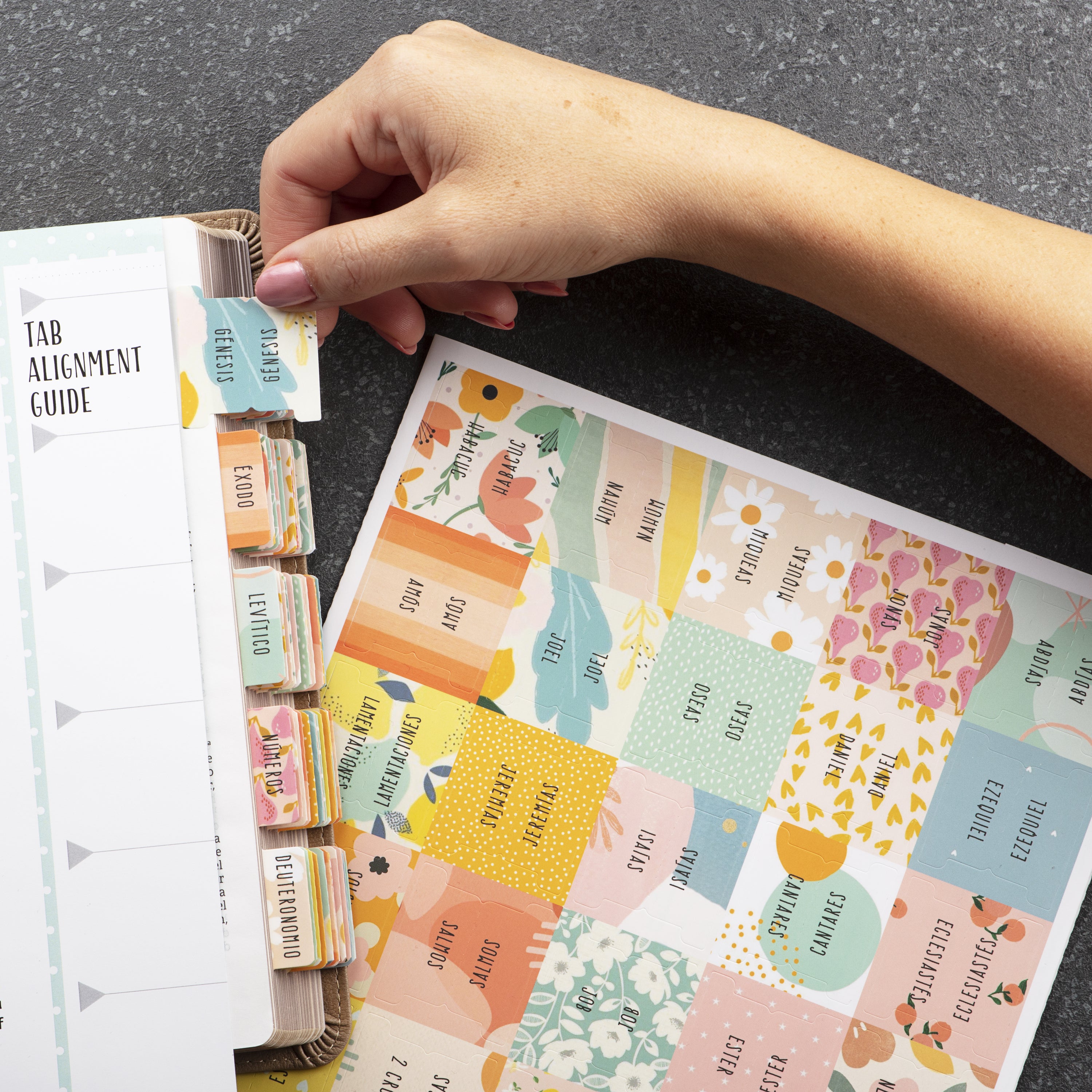 DiverseBee Alegria Bible tabs