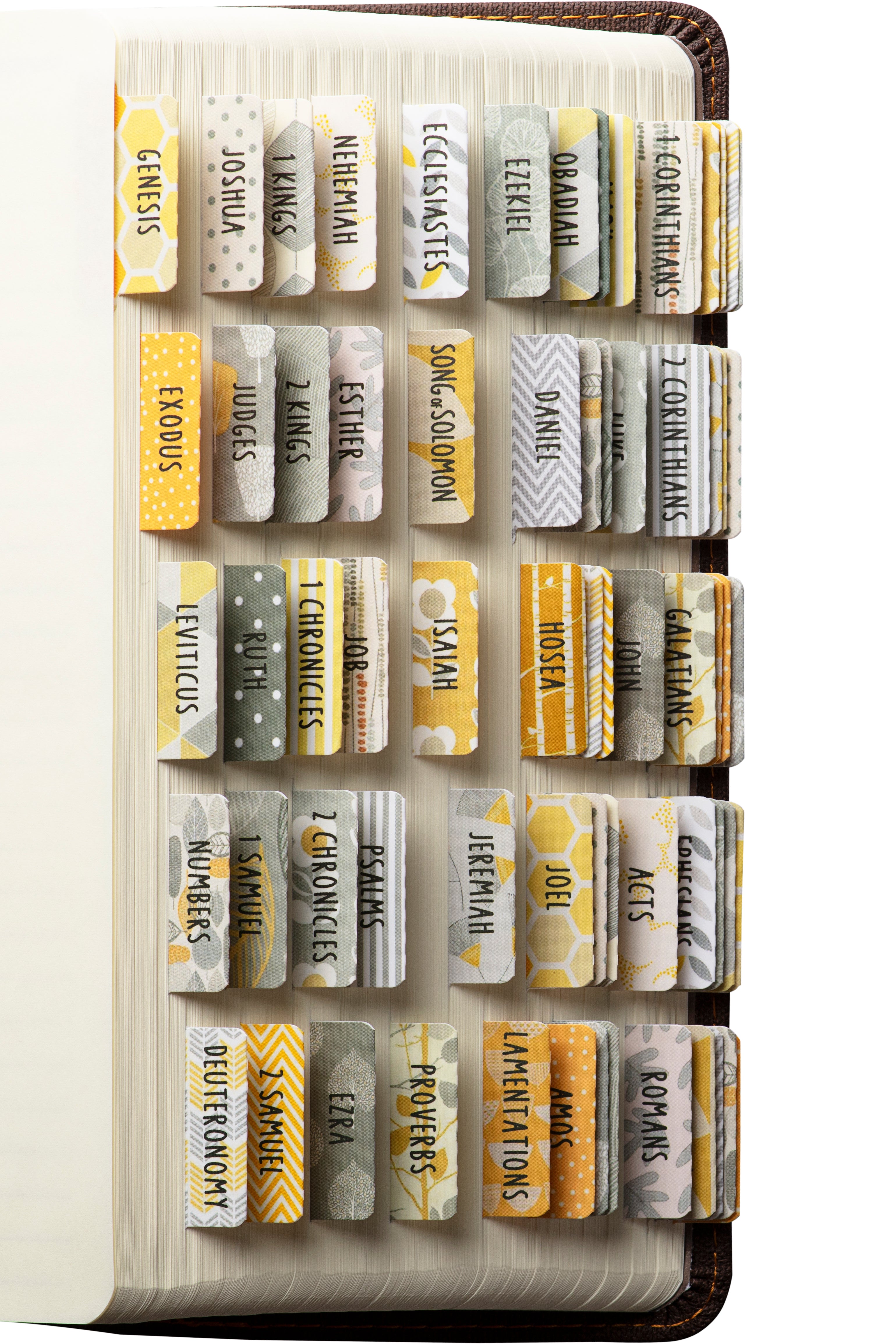 DiverseBee Bible Tabs Harmony