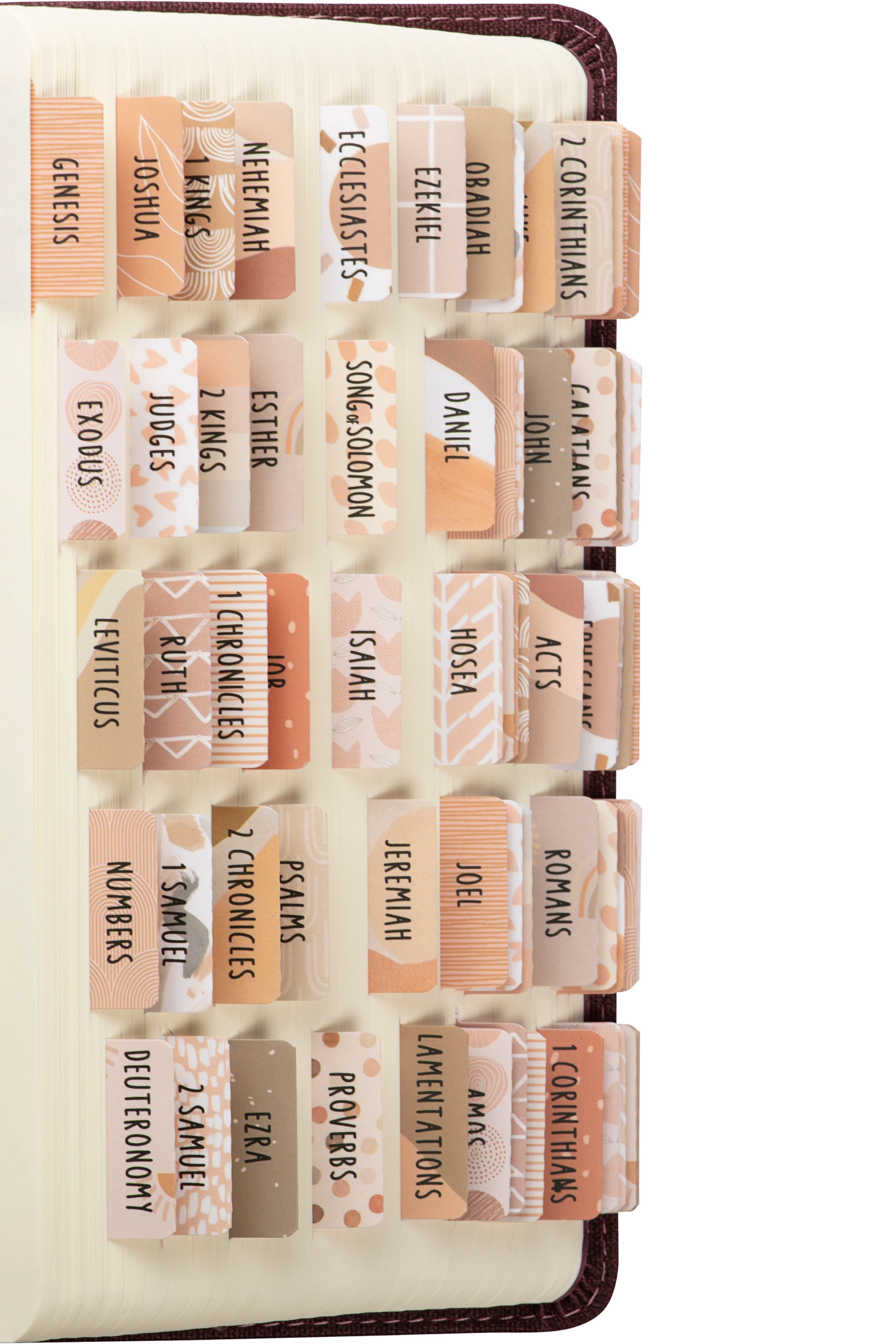 DiverseBee Laminated Bible Tabs Cappuccino