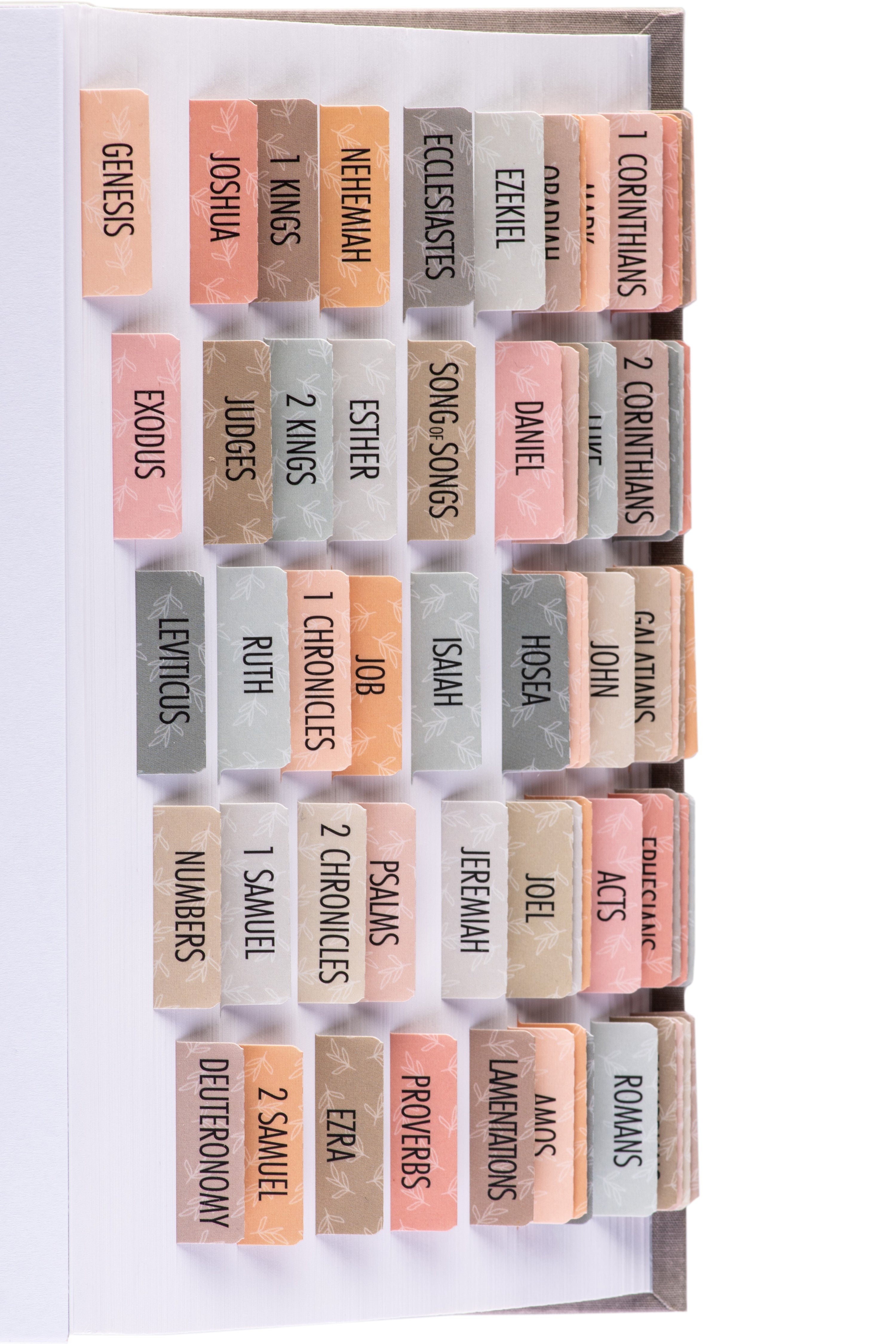 Bible Tabs - Earthy Theme