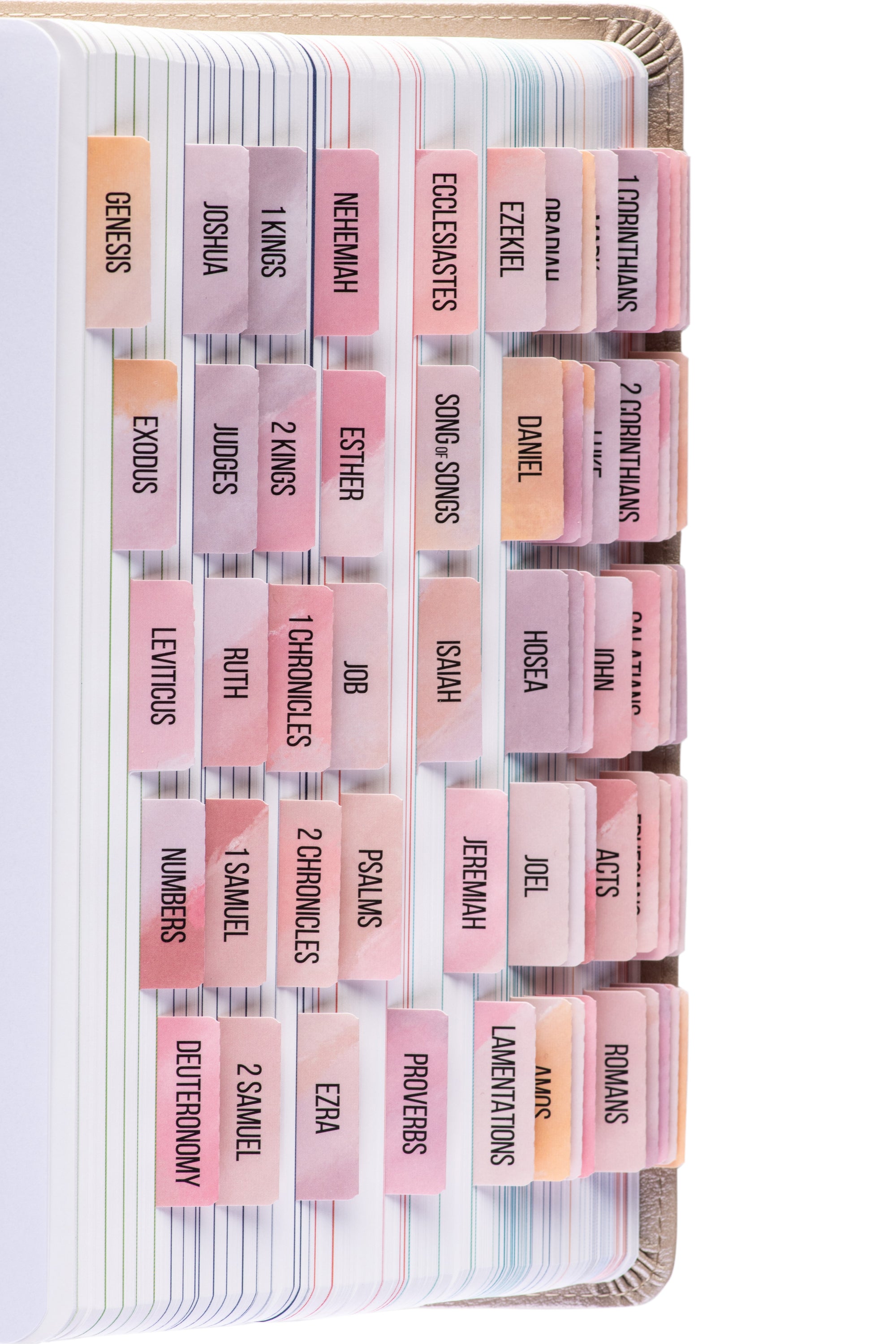 DiverseBee Laminated Bible Tabs Boho