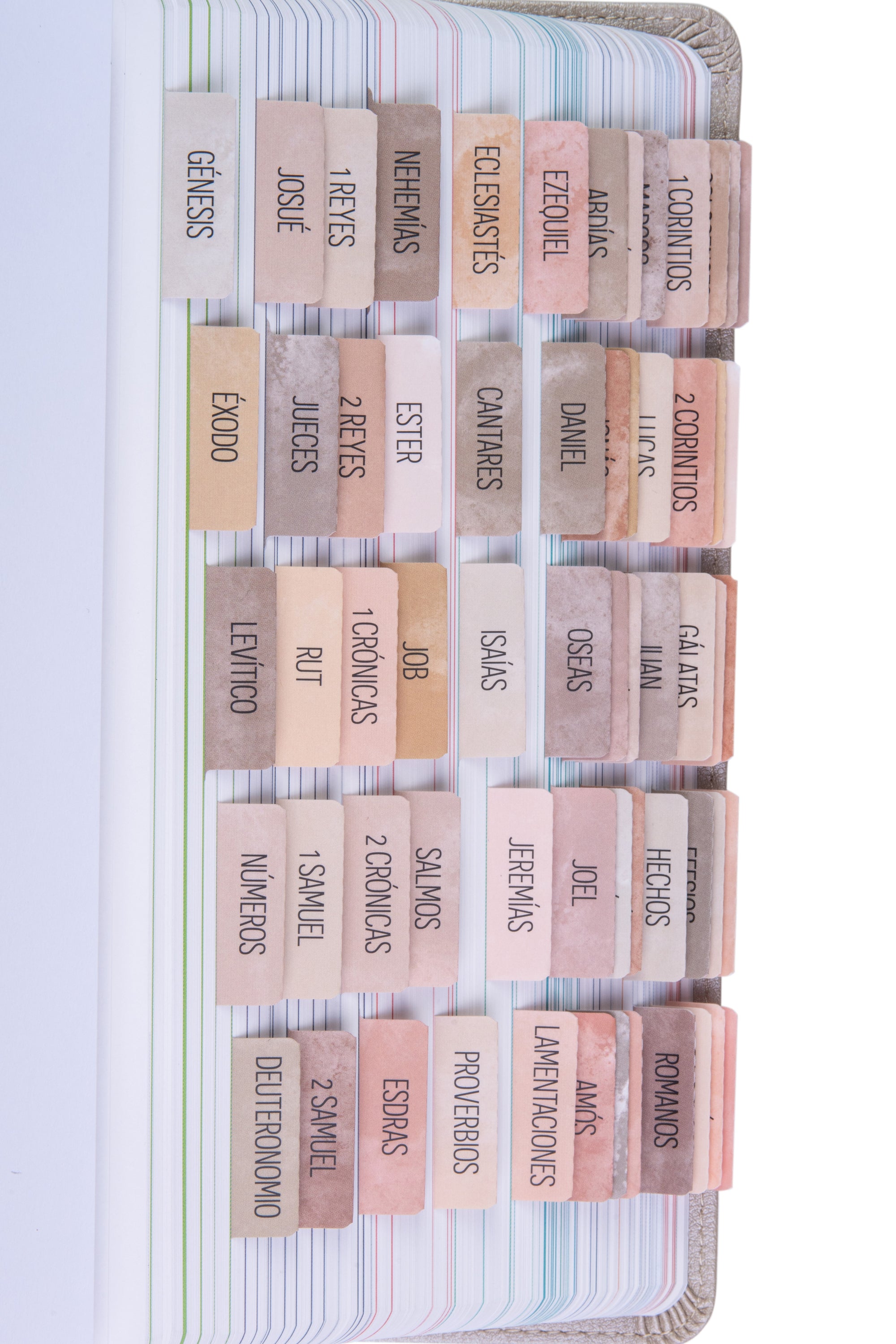 Spanish Bible Tabs - Paz Theme