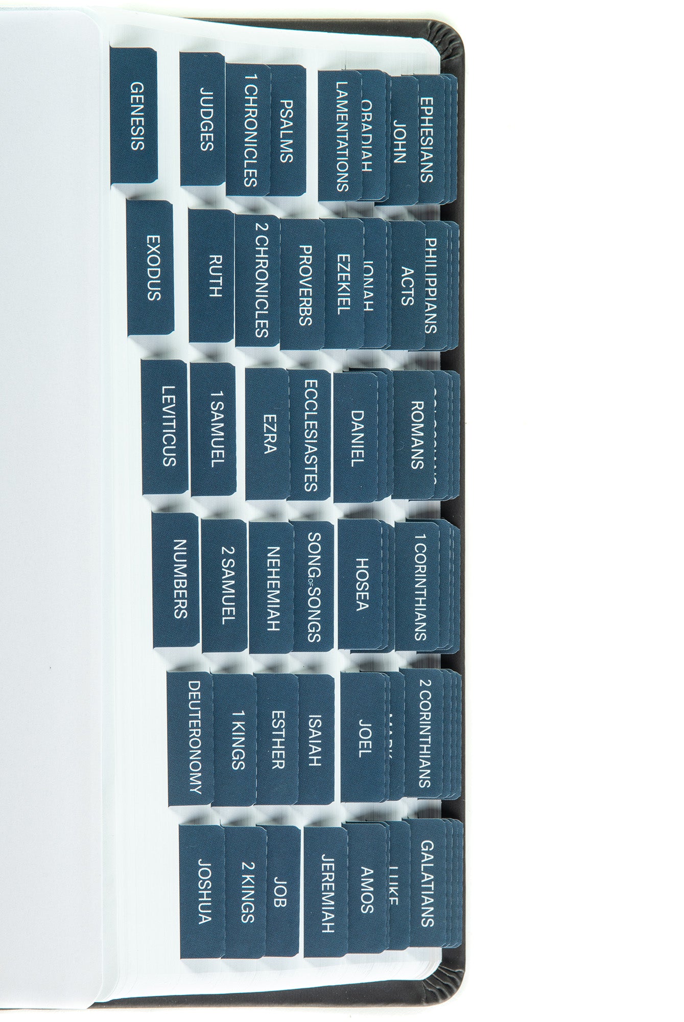 DiverseBee Blue Laminated Bible Tabs for Men - Navy Theme