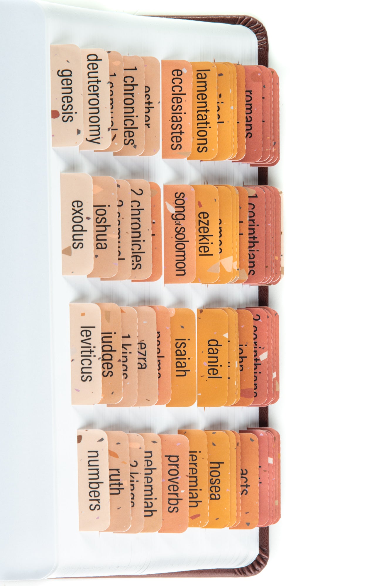 Orange Red Pink Bible tabs