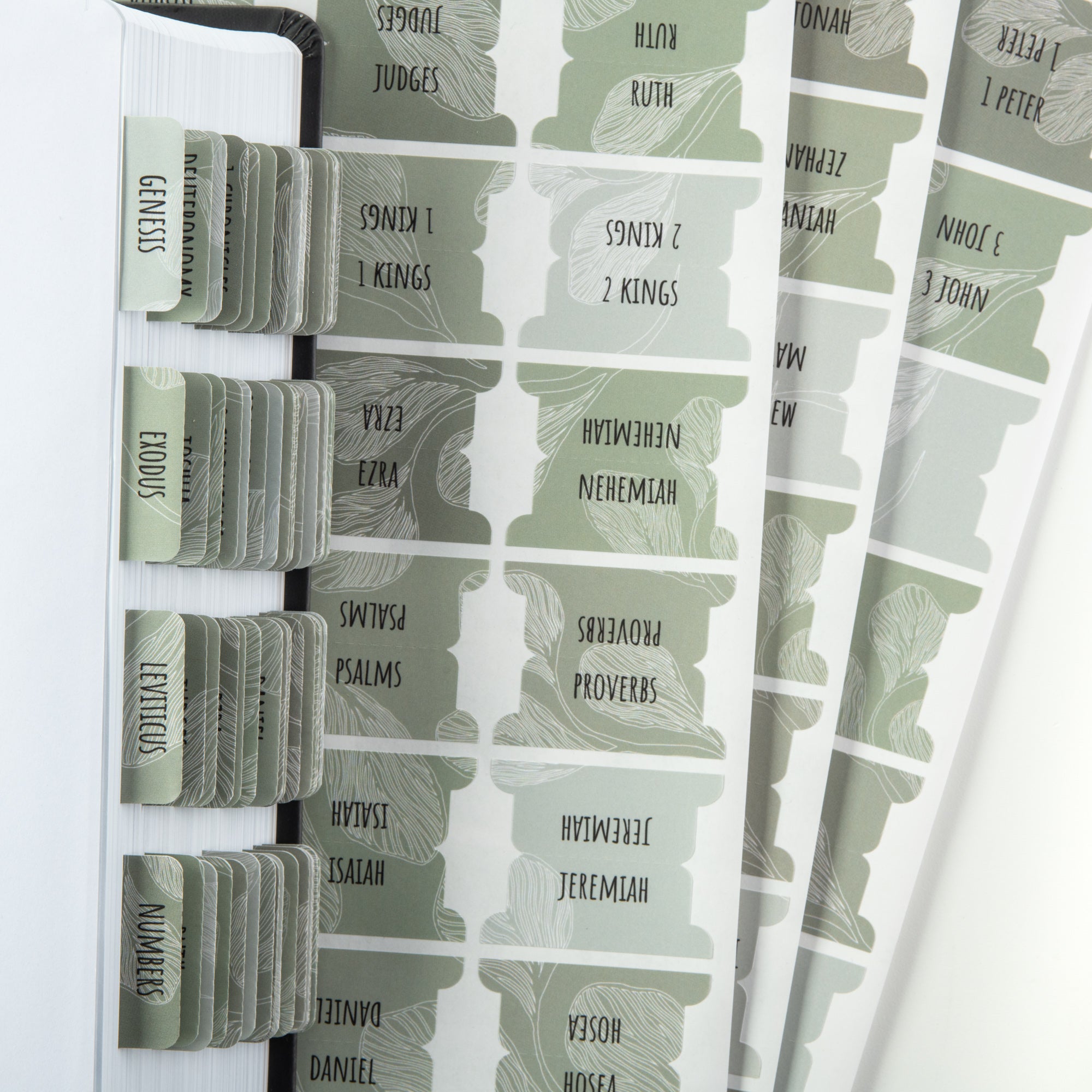 bible dividers