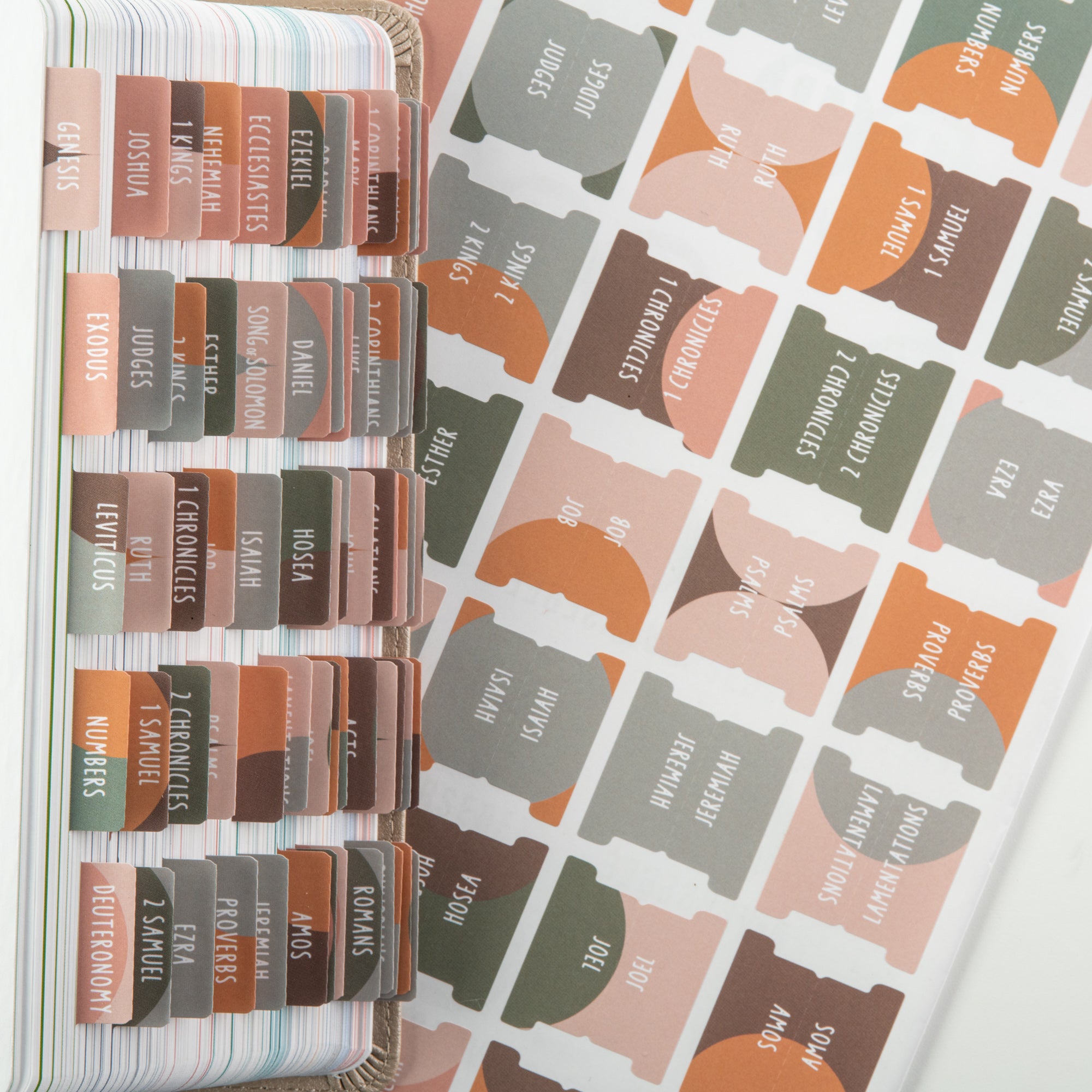 diversebee laminated bible tabs